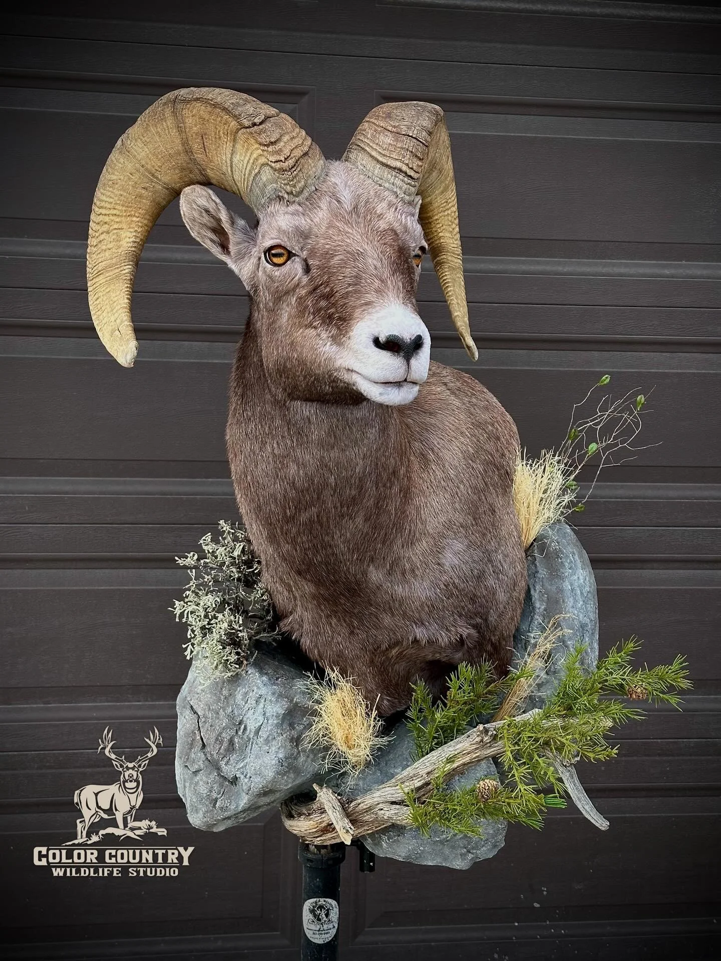 Ram all done up for Marlon and Rusty and the crew. Thanks guys. @therustedhunter