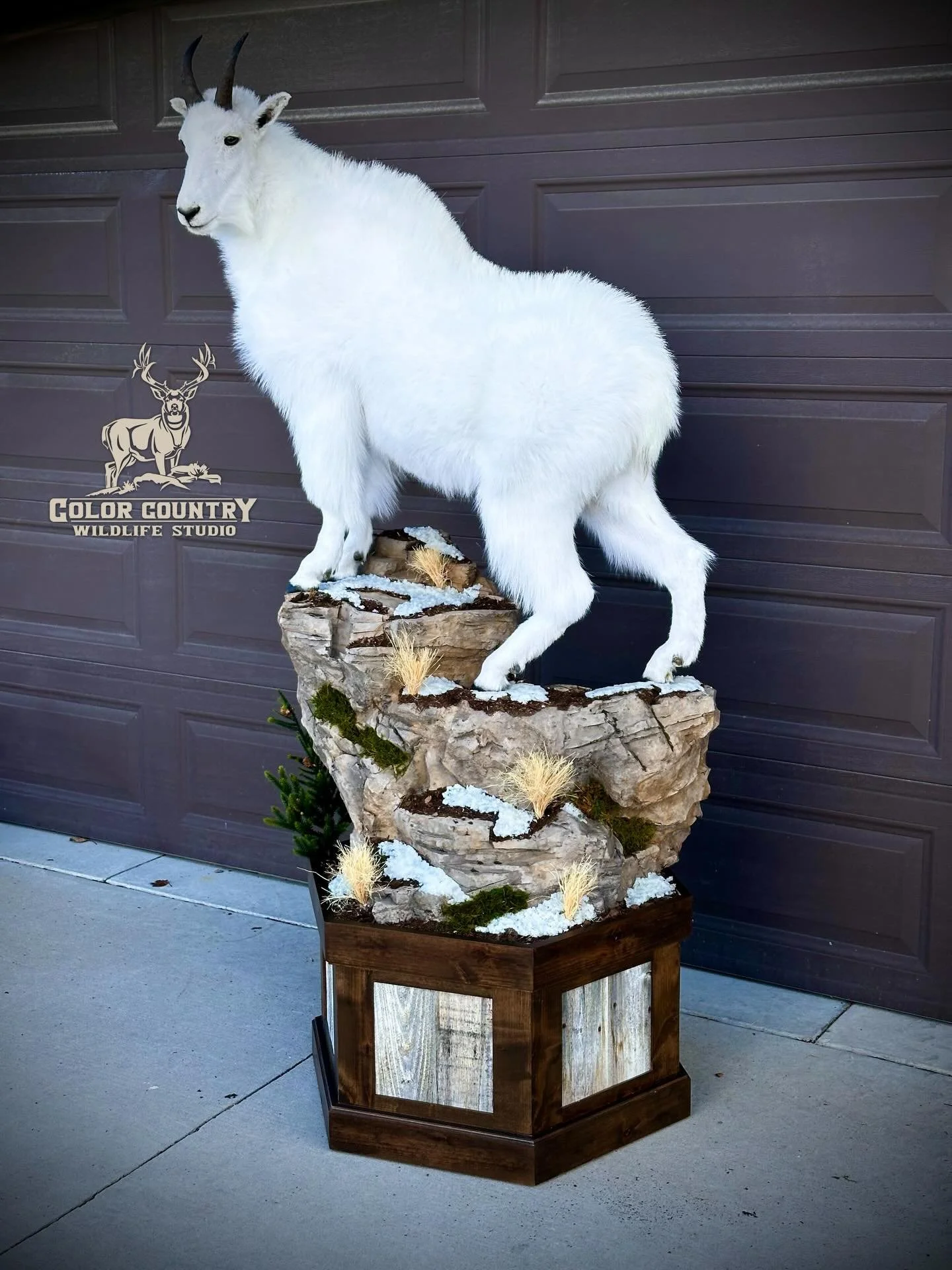 One time on a trailhead in the uintah mountains it was getting dark and I ran into a really friendly guy. His name is Perry Grant! Made a friend walking out to the road that night. Thanks for letting me mount your Billy Perry! I like making friends i