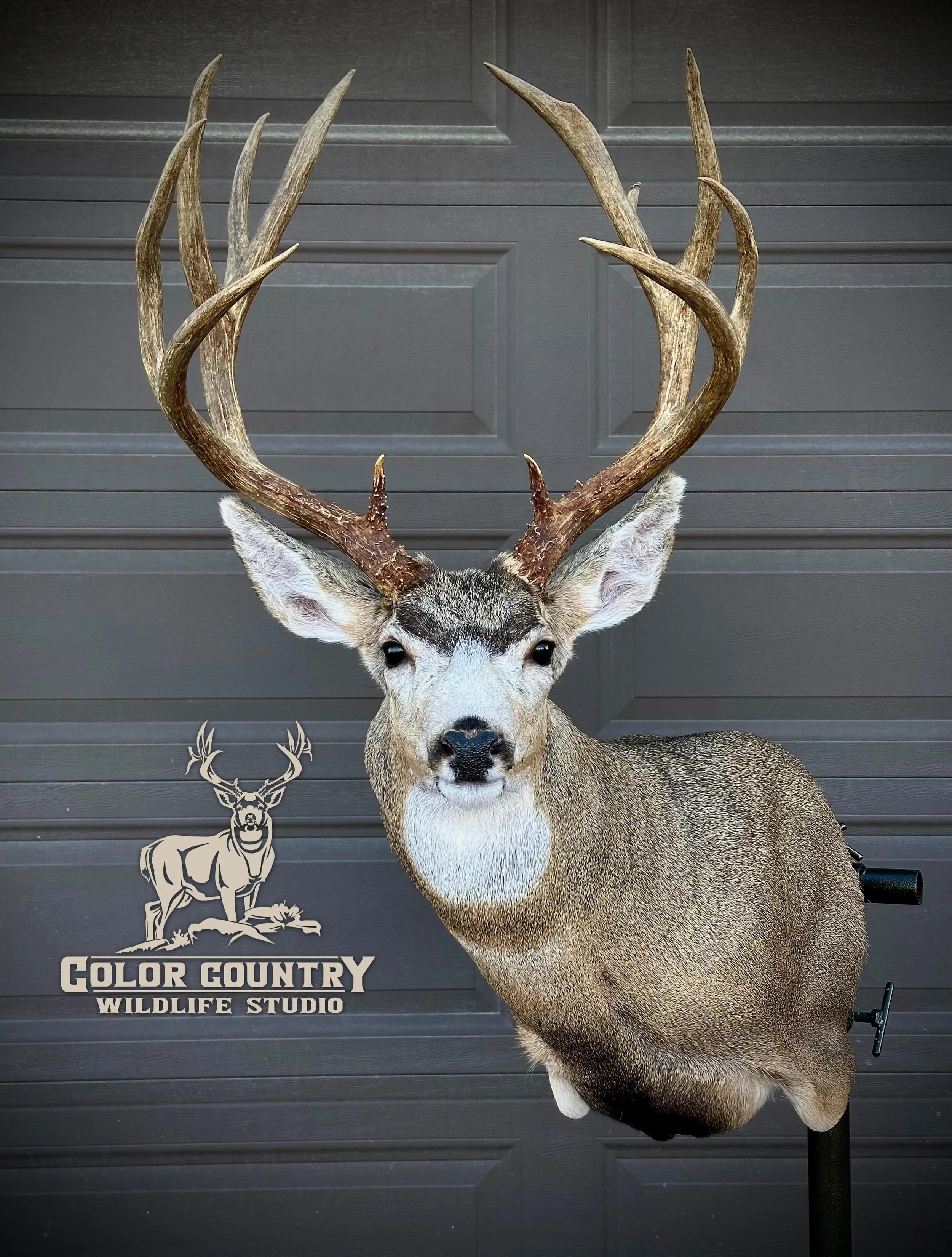 Another stomper for this beautiful Wednesday morning. Have a great day everyone!