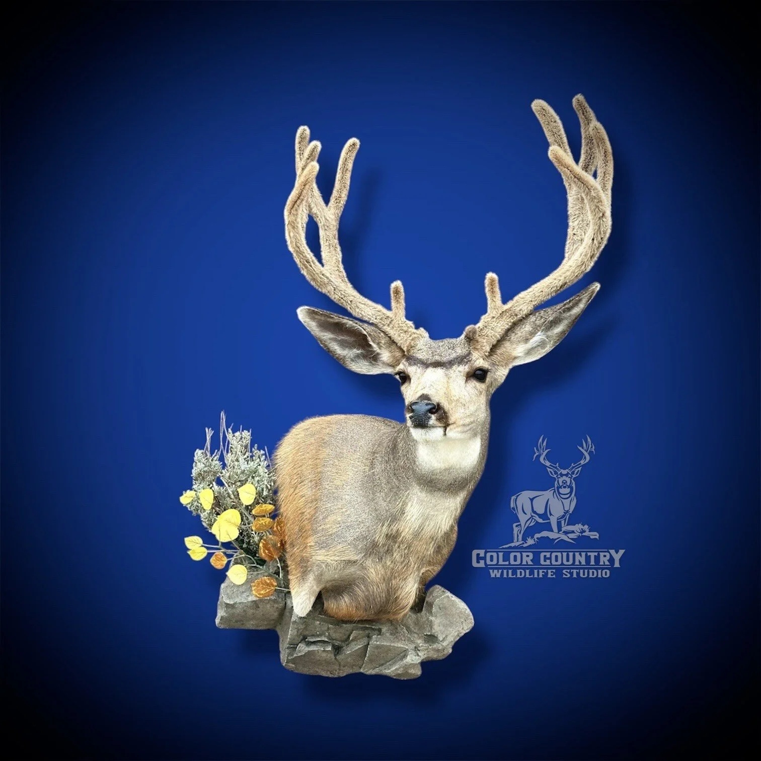 eZy Watermark_08-02-2026_02-59-03-4840PM.jpeg