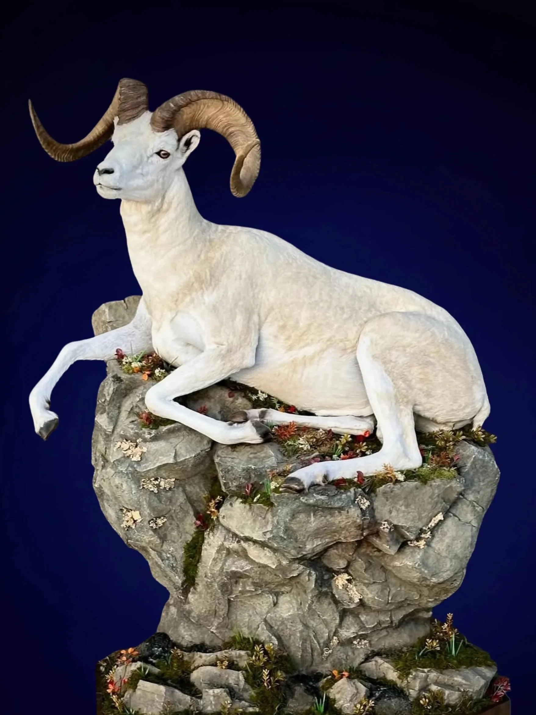 Lifesize and Half Lifesize Mounts