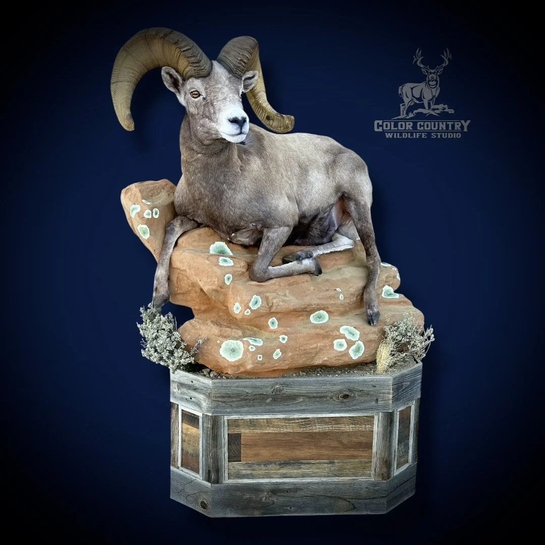 eZy Watermark_04-02-2026_10-57-46-4420PM.jpeg