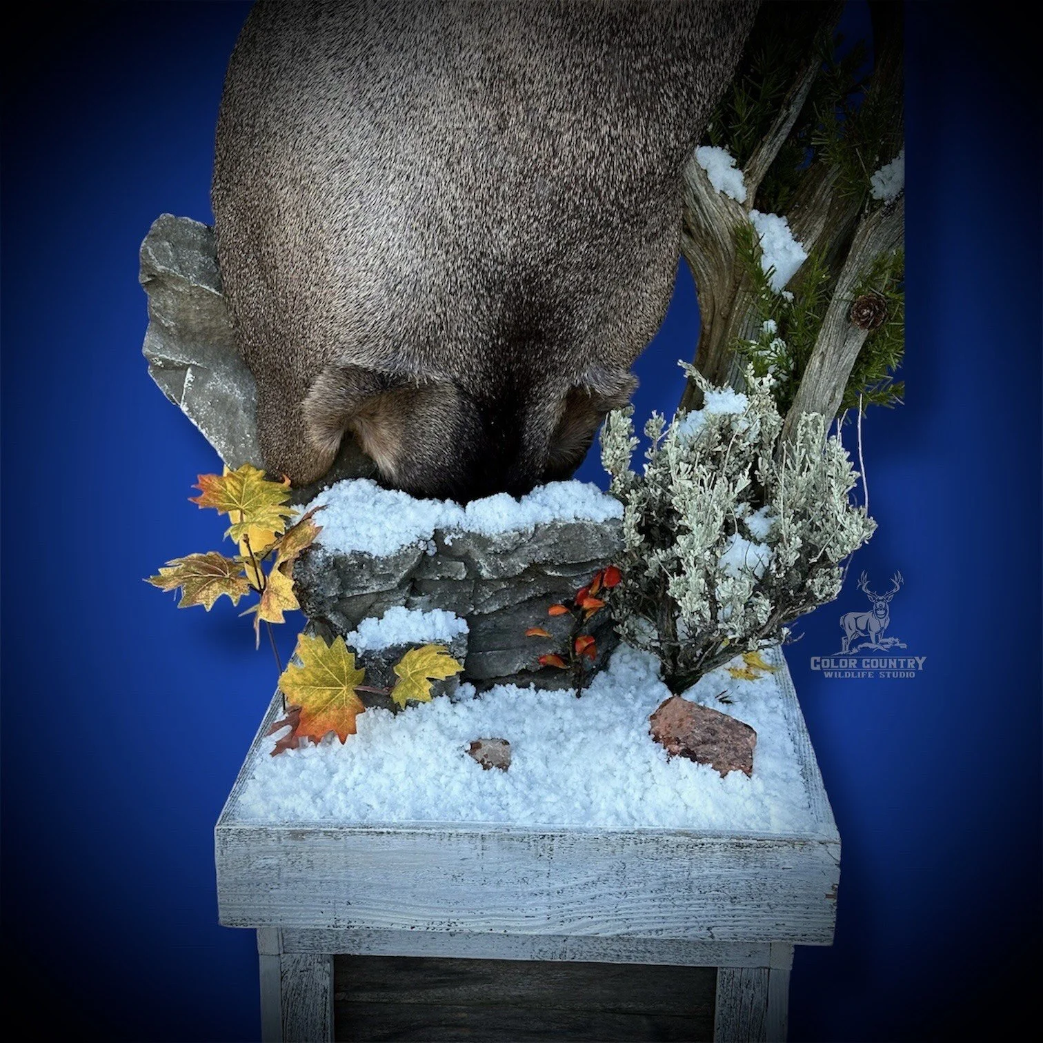 eZy Watermark_08-02-2026_01-37-13-6800PM.jpeg