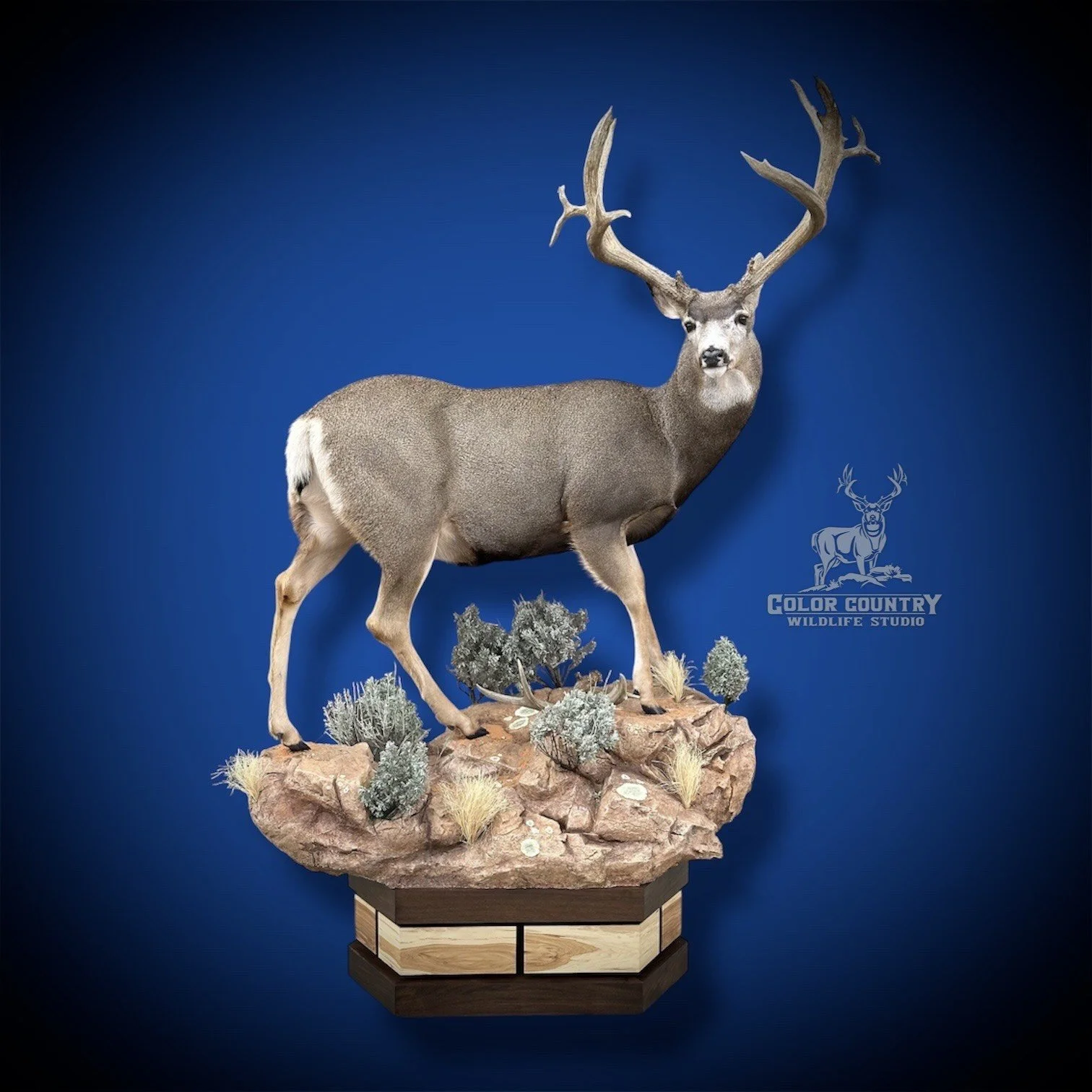 eZy Watermark_08-02-2026_02-57-46-6920PM.jpeg