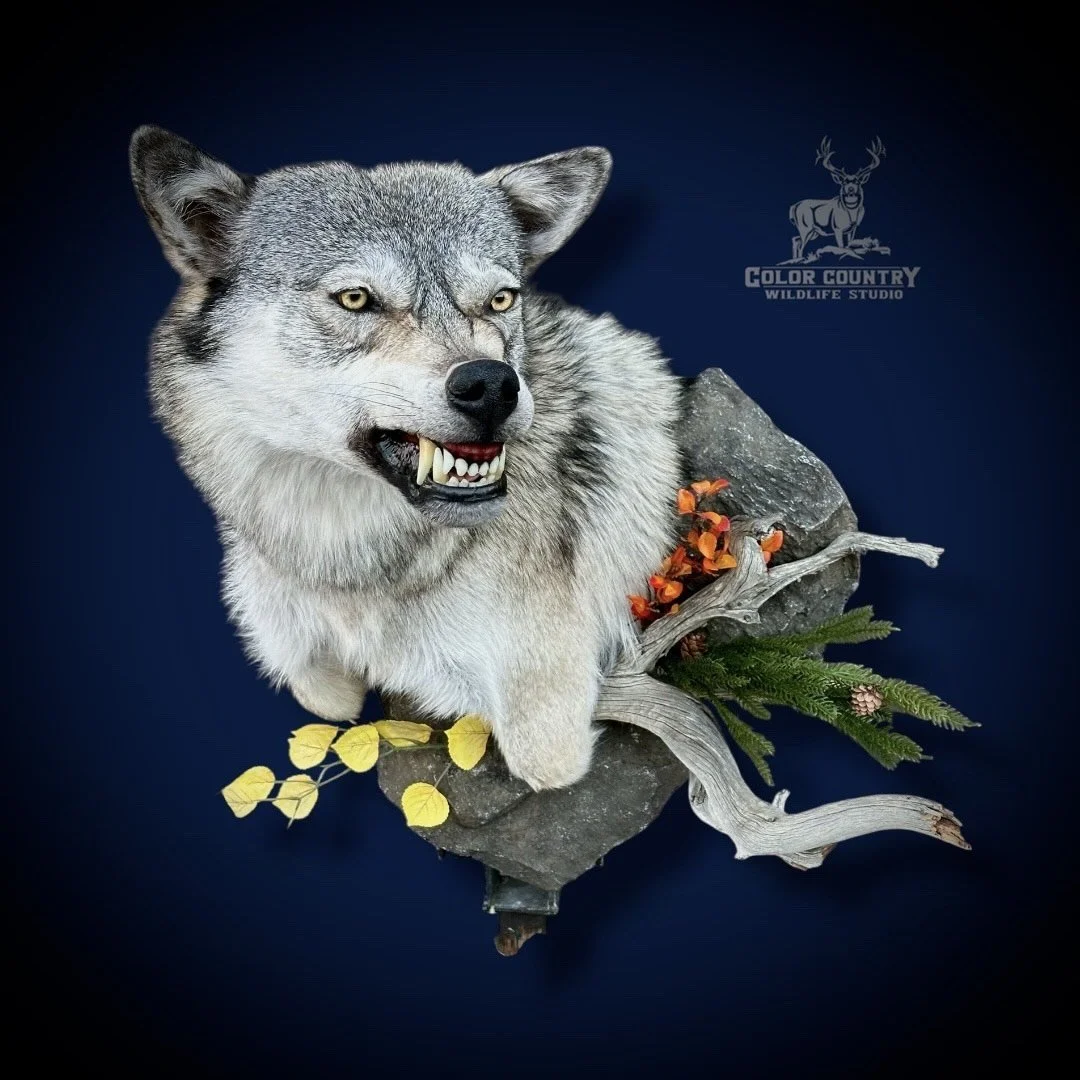 eZy Watermark_04-02-2026_10-59-01-1010PM.jpeg