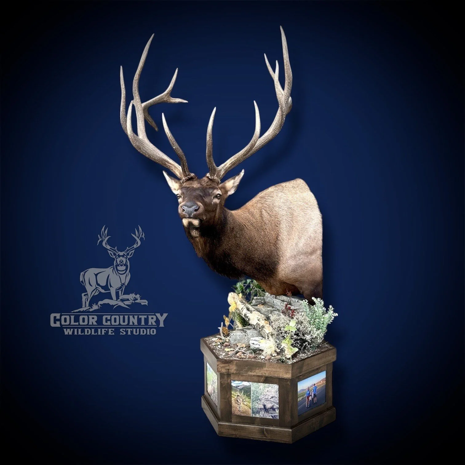 eZy Watermark_24-01-2026_10-26-23-3990AM.jpeg