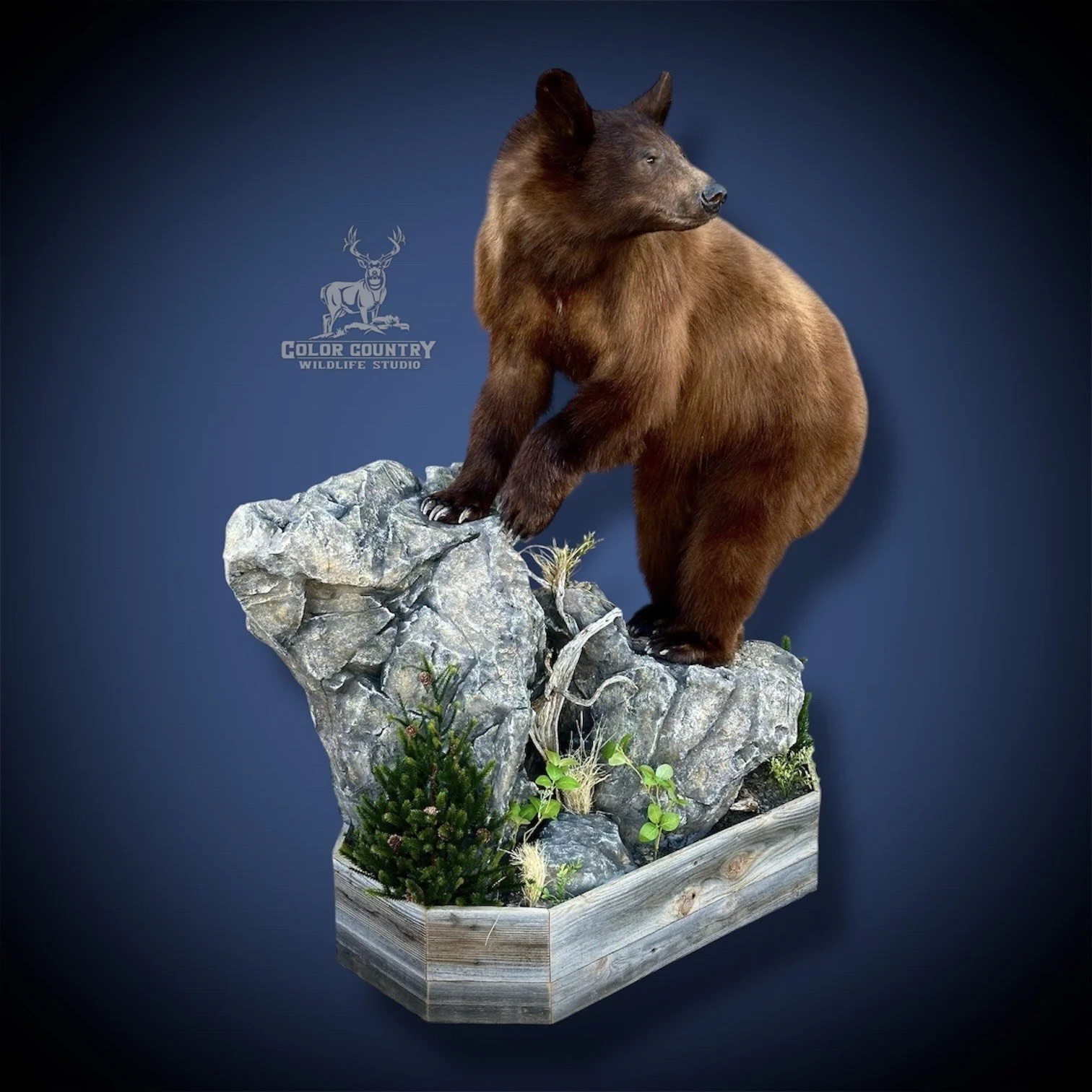 eZy Watermark_08-02-2026_02-58-39-2050PM.jpeg