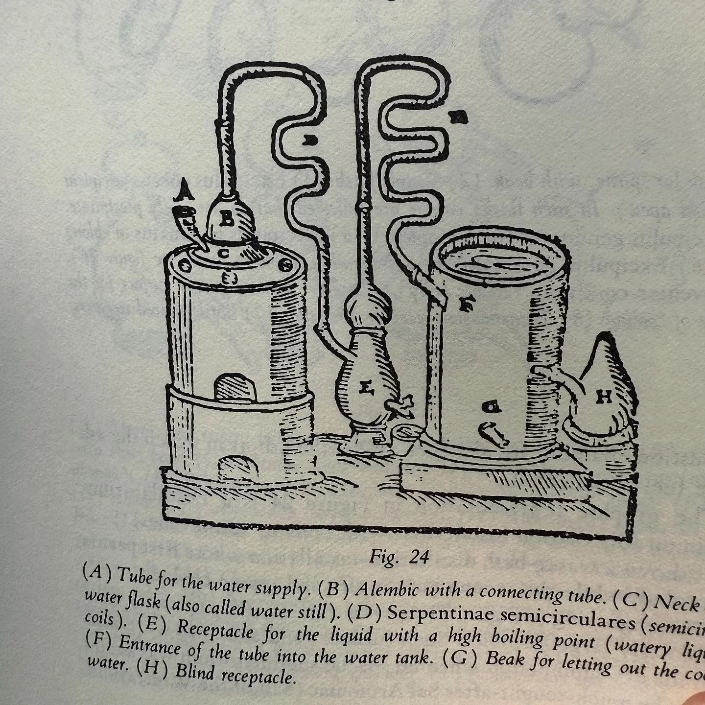 Practical Handbook of Plant Alchemy, by Manfred M. Junius (Inner Traditions, 1985). 

Perhaps not the most practical for road trips and camping (we don&rsquo;t travel with tinctures typically), this awesome volume provides a metholodology for incorpo