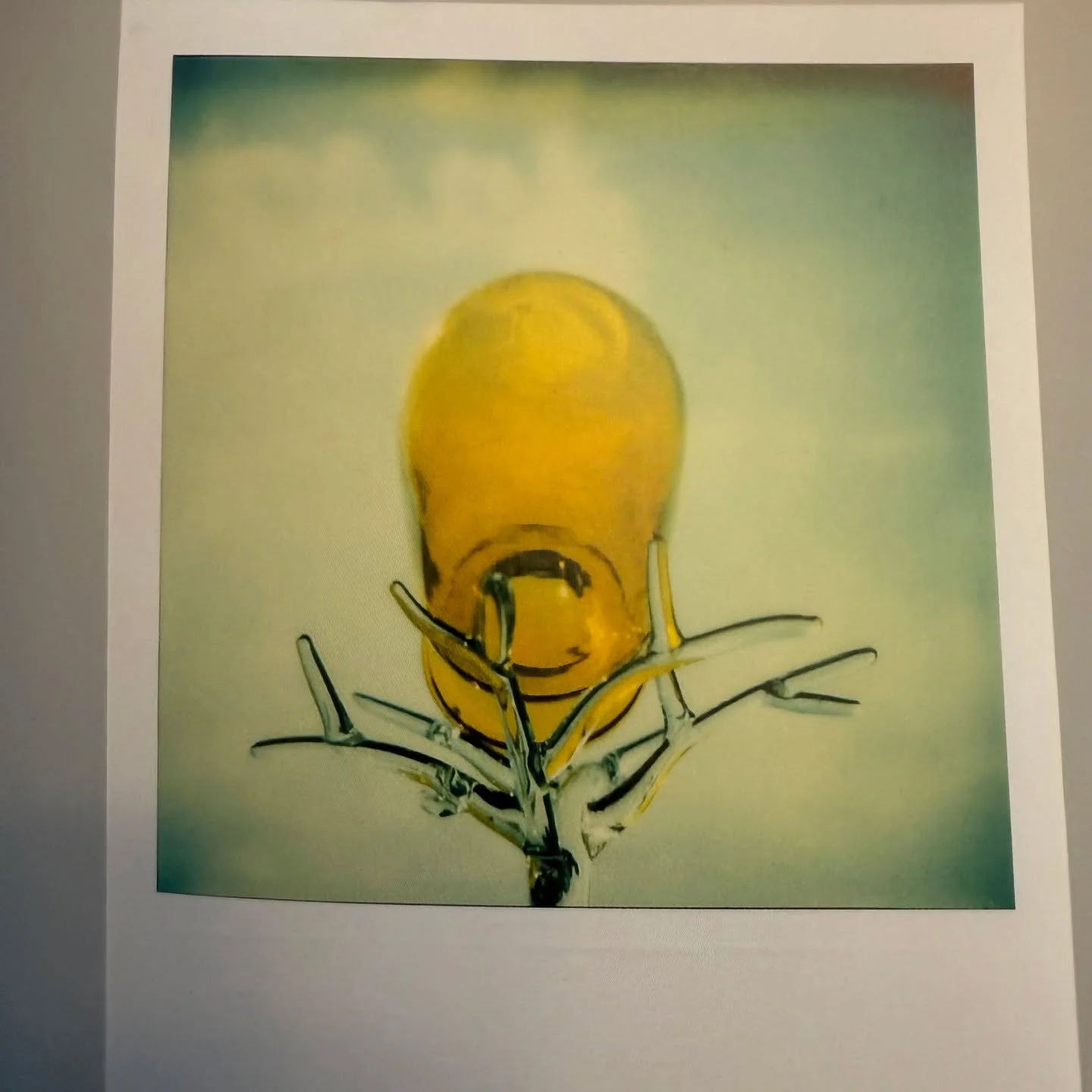 Andre Kertesz: The Polaroids. Robert Gurbo, introduction; Eelco Wolf, foreword. (W. W. Norton, 2007).

An intimate portrait of the Kertesz through his intimate portraits of objects (and some people) following the loss of his wife. Just a beautiful li
