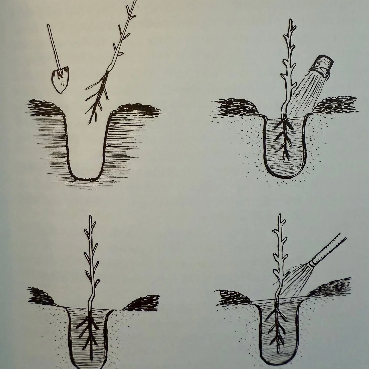 Nuts for the food gardener: growing quick, nutritious crops anywhere by Louise Riotte (Garden Way Press, 1975).

It's fall--time to harvest nuts, or if you're thinking about planting trees for next season, dig your hole, fill it with compost and all 