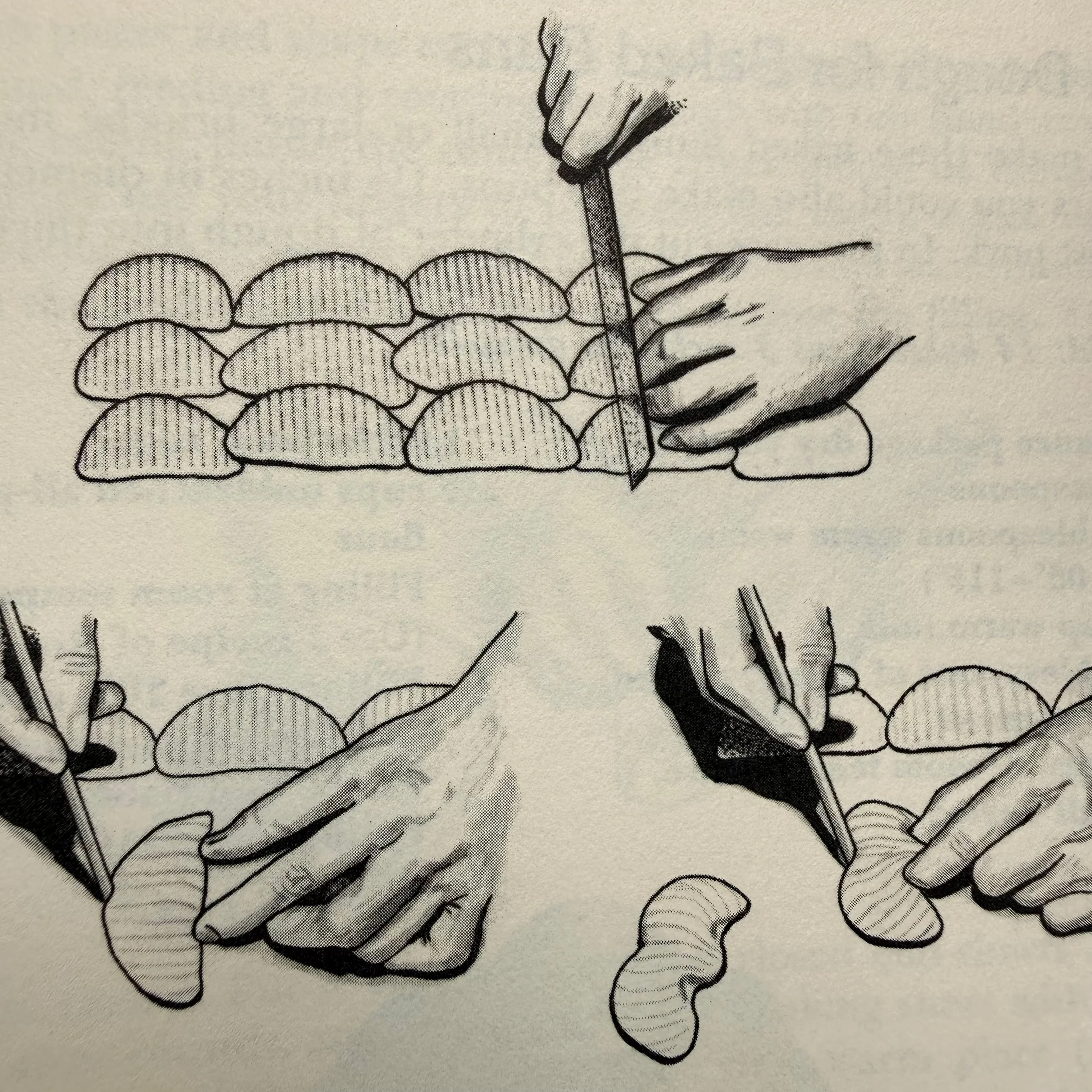 A steamed classic. The book that changed America's taste in dumplings. Florence Lin expanded the palette from boring Chop Suey to a world of Chinese cooking, and this one's got all the baking secrets you need to know--noodles, wontons, dumplings, fla
