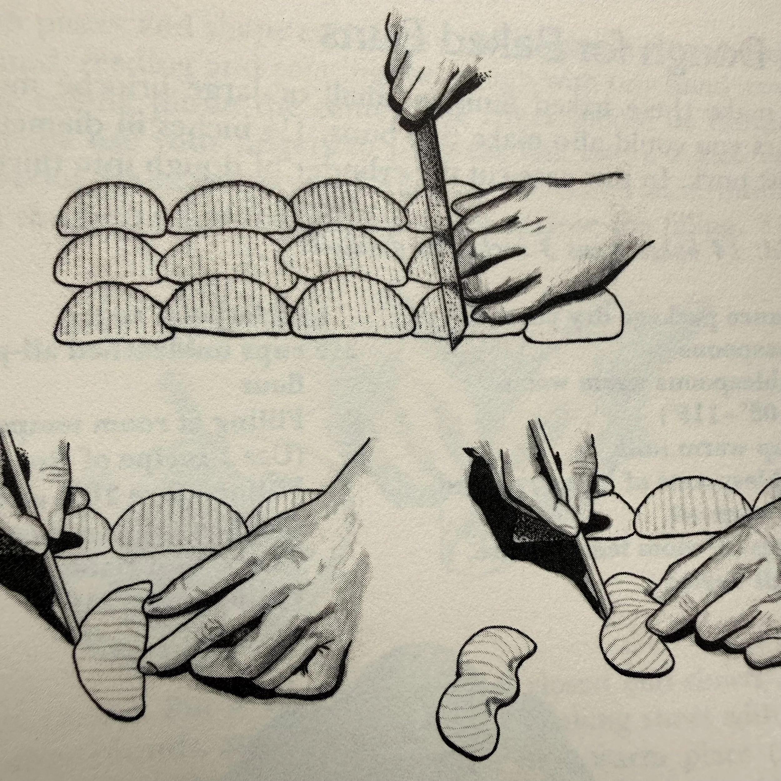 Florence Lin's Complete Book of Chinese Noodles, Dumplings, and Breads, by Florence Lin (William Morrow, 1986).