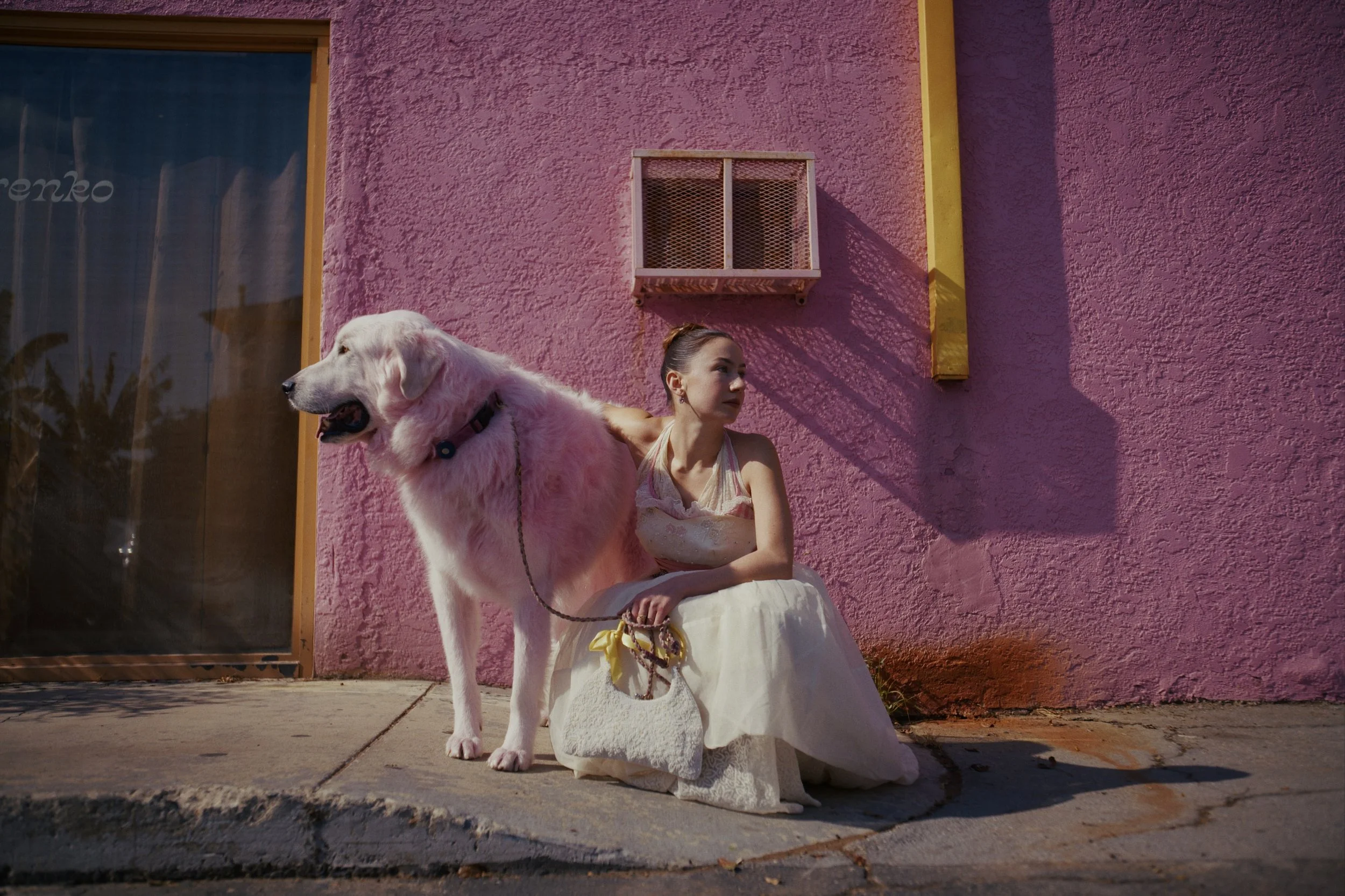 Still-2025-01-28-171703_1.10.1 2.jpg