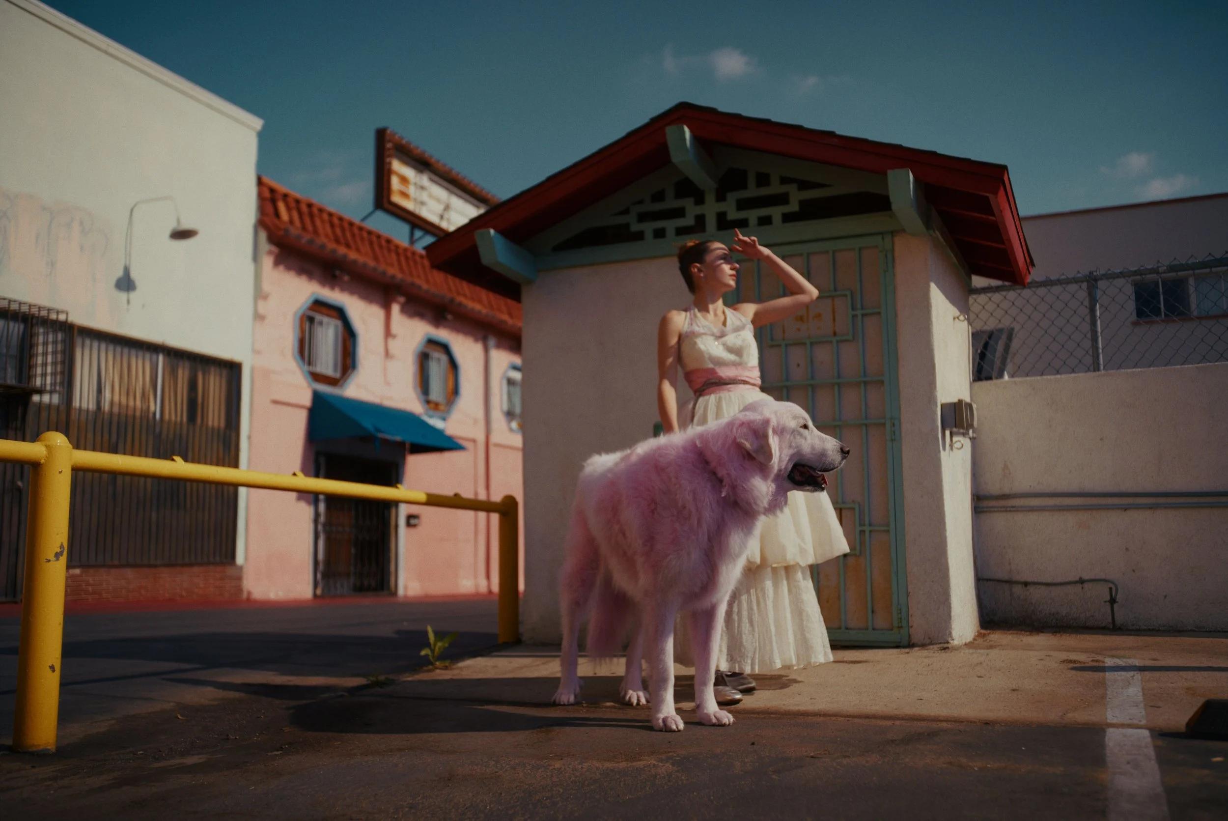 Still-2025-01-28-163518_1.21.1 2.JPG