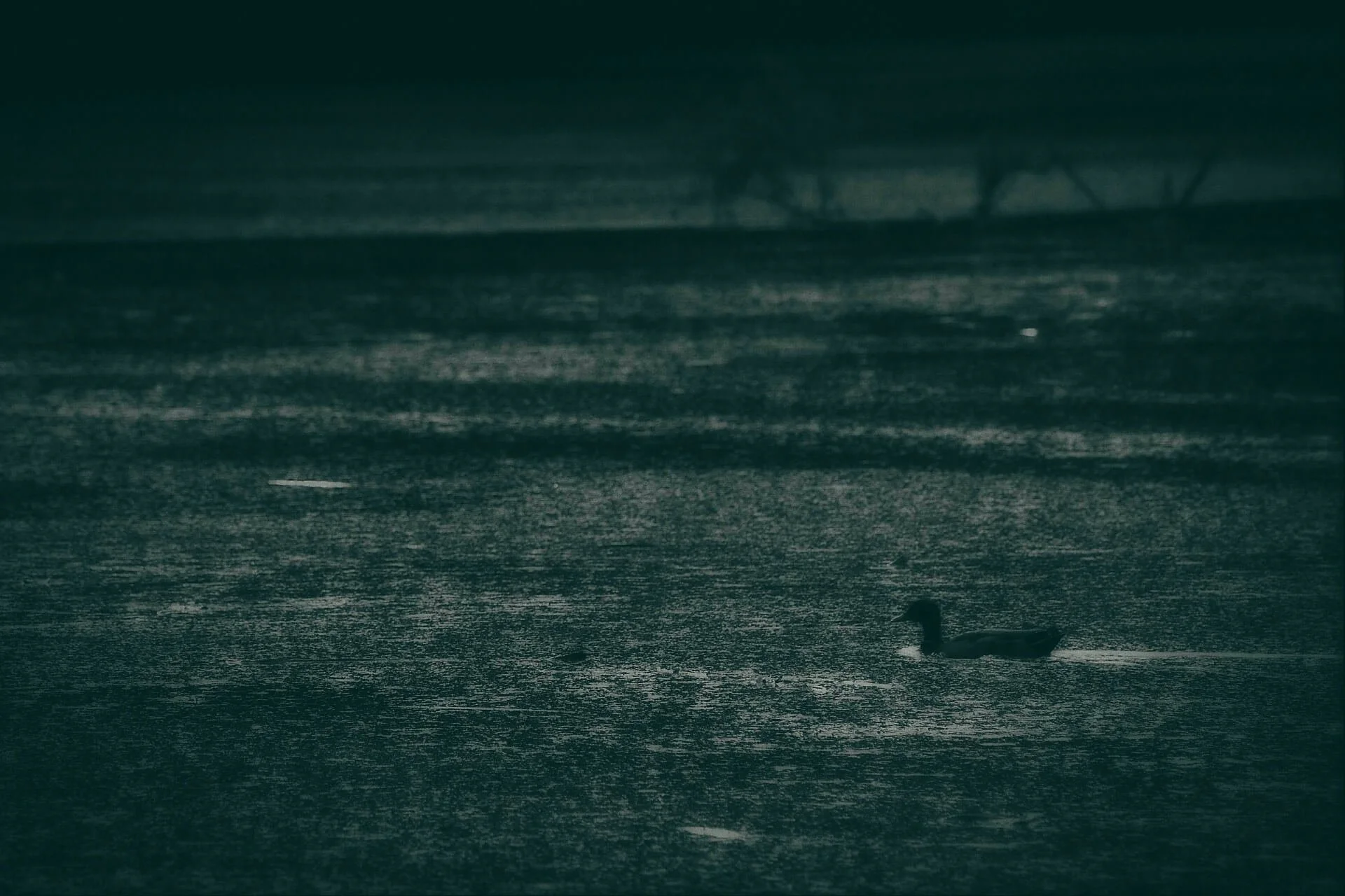 DSCF6326.jpg