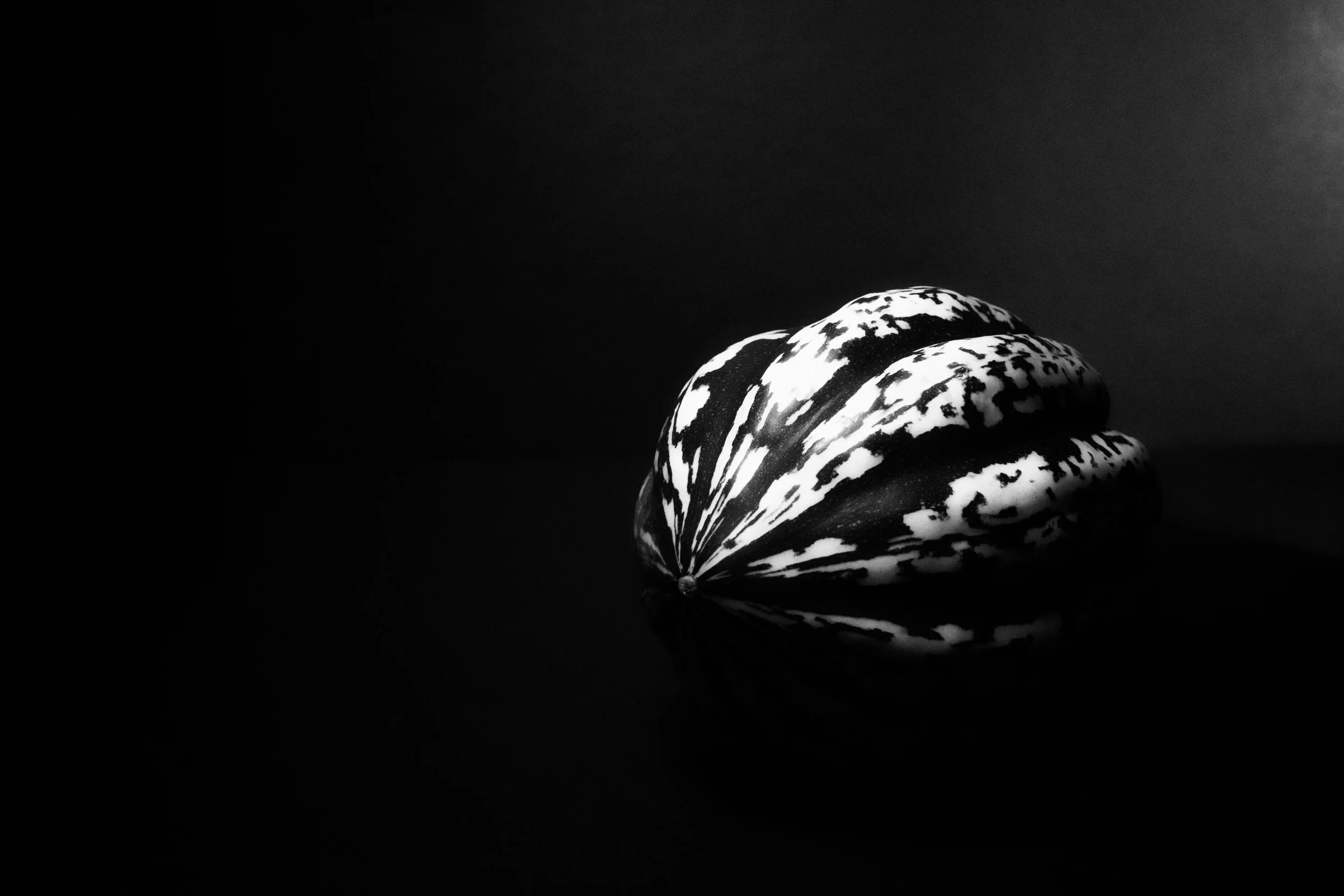 Sweet Dumpling Back copy.jpg