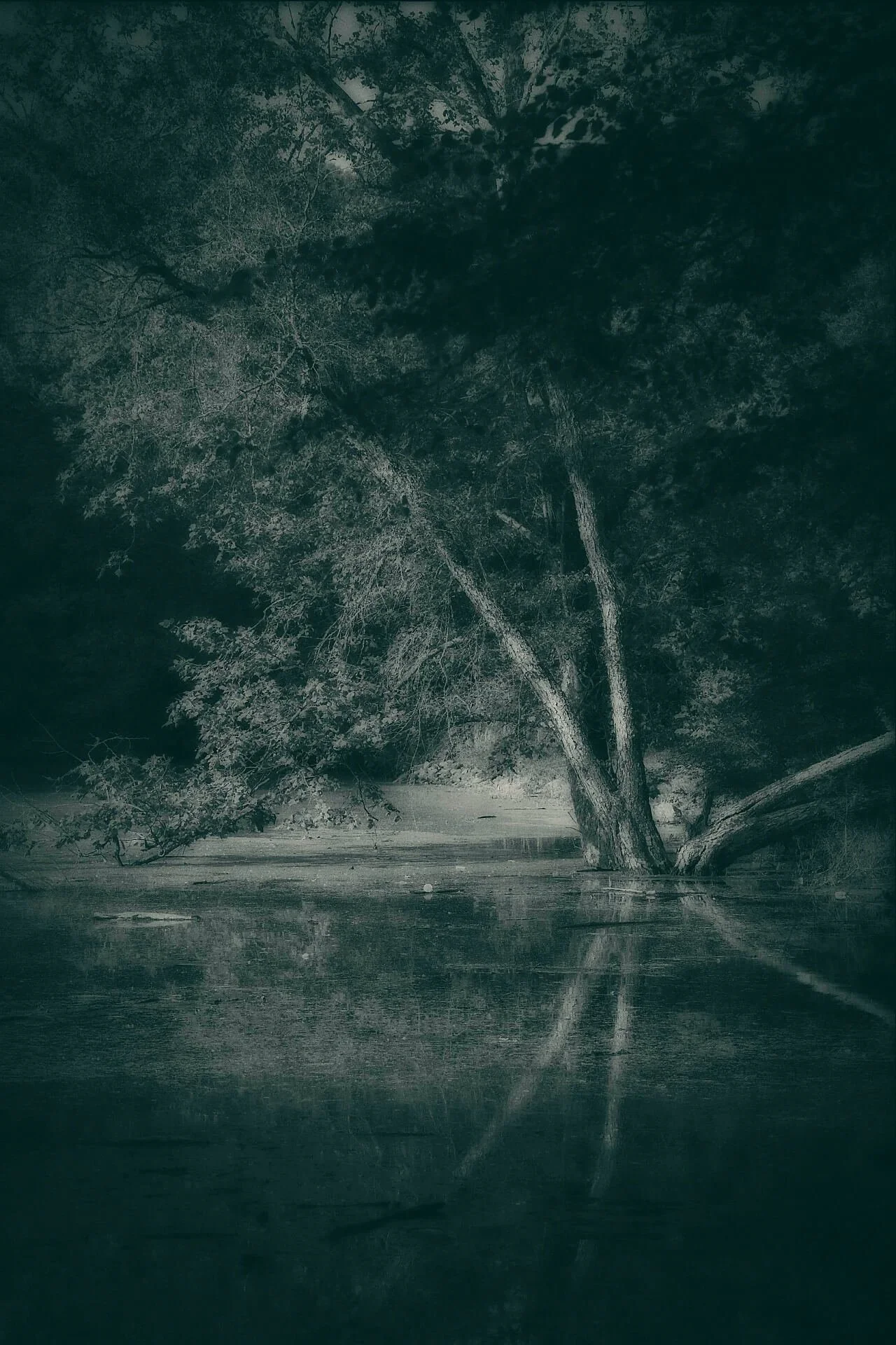 DSCF6356.jpg