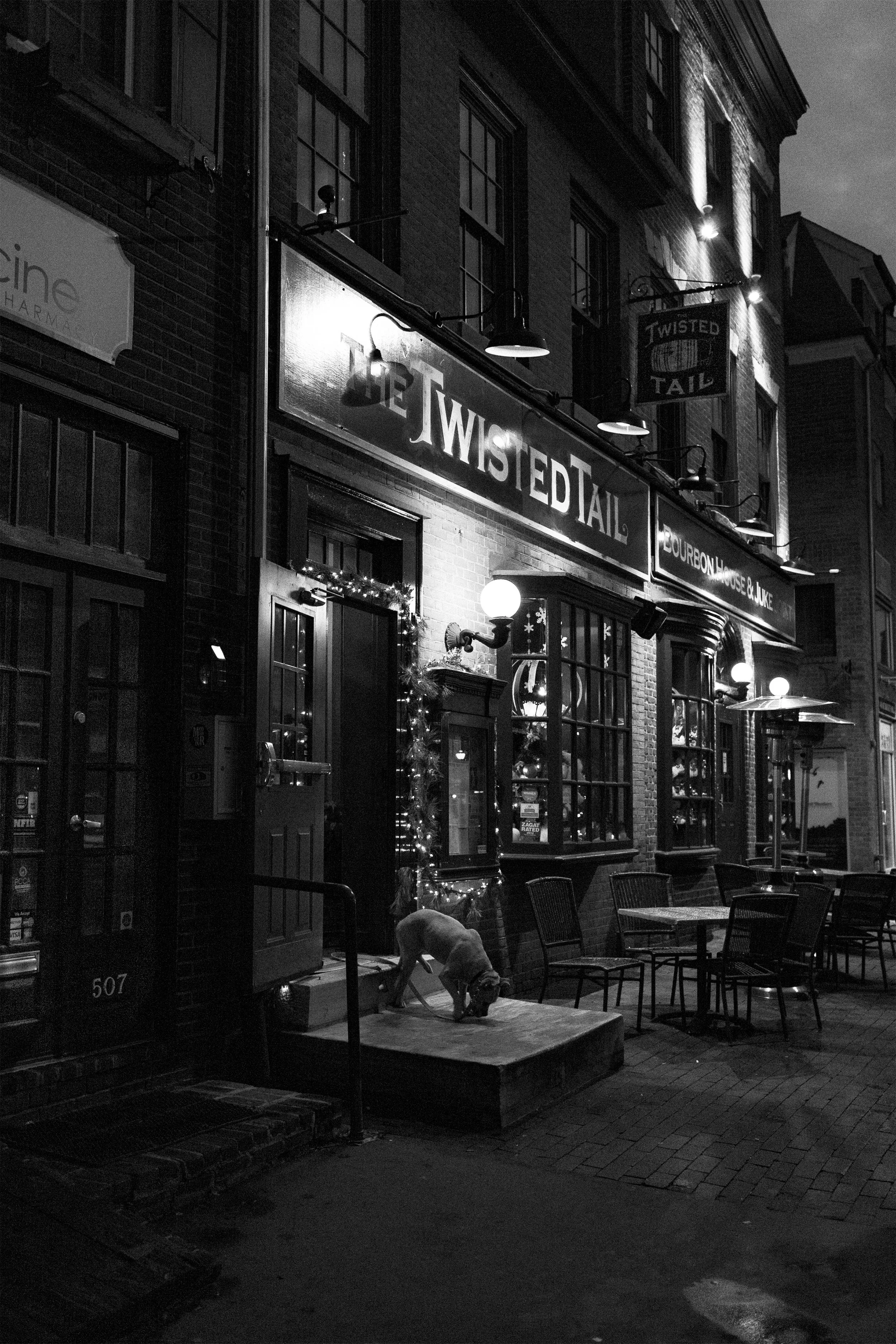 The Twisted Tail copy.jpg