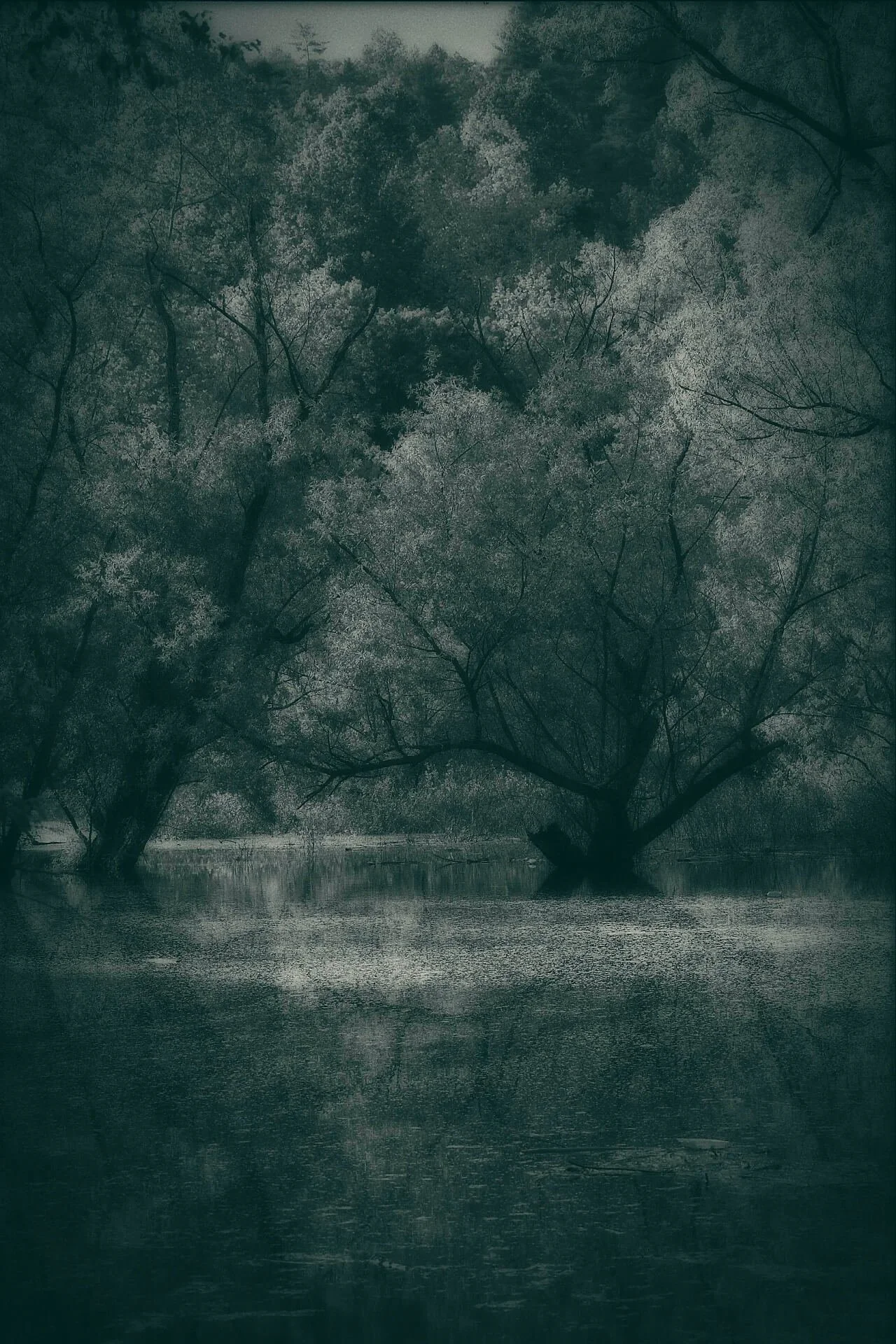 DSCF6354.jpg