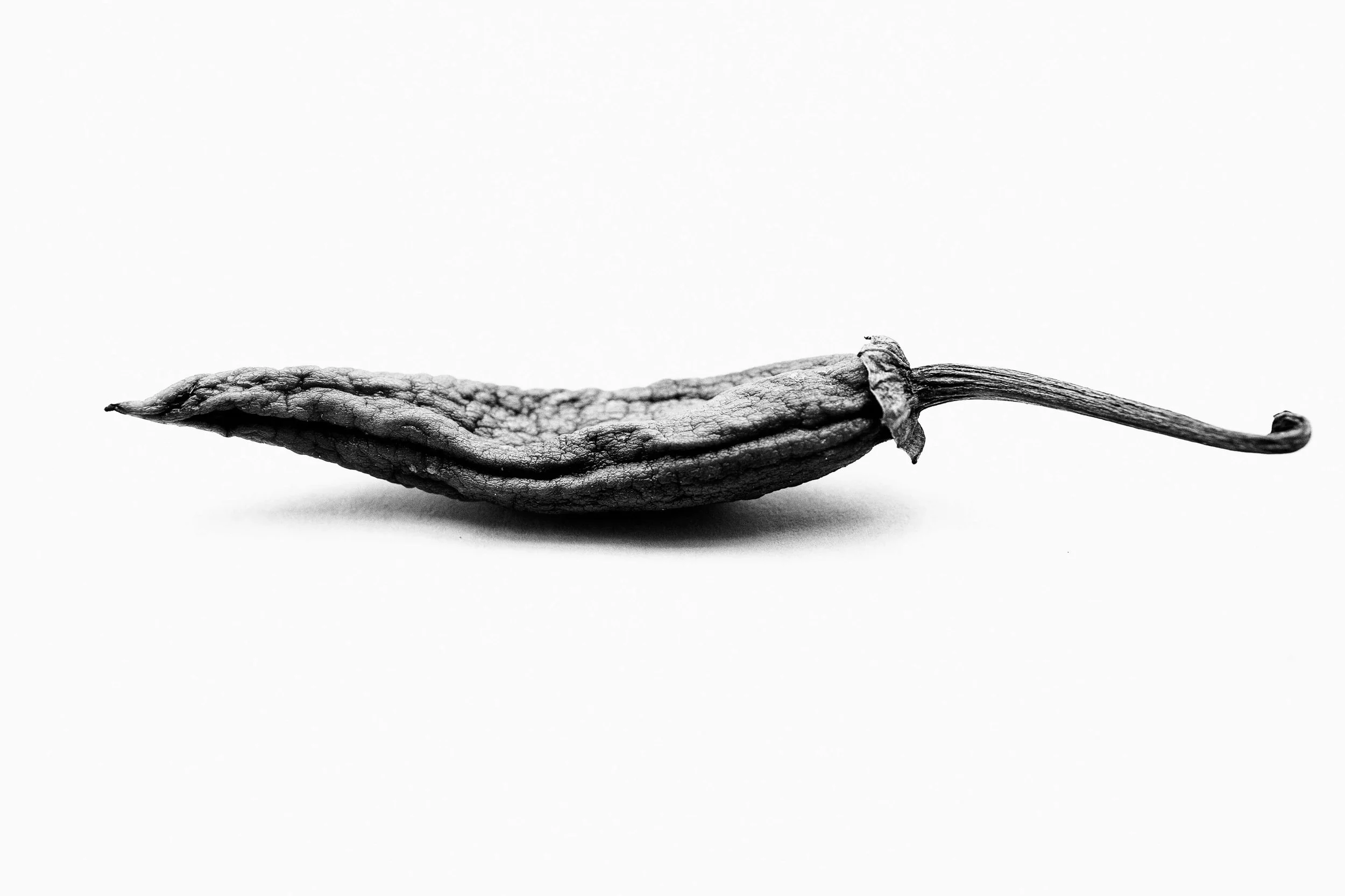 Orange pepper Black.jpg