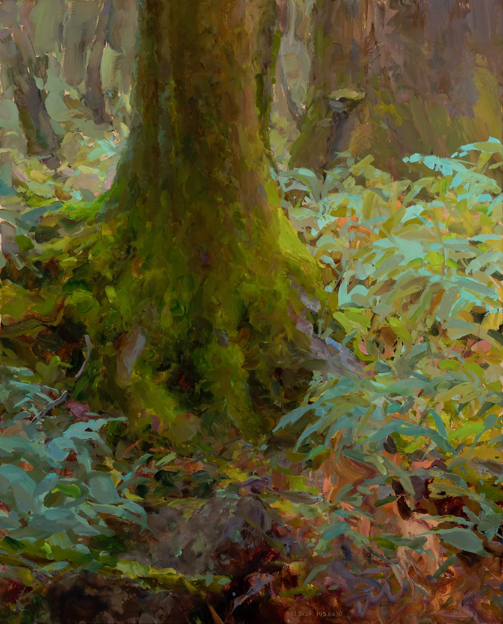 The Forest Hums in the Rain. 65.5 x 84.5 cm. Oil on linen.