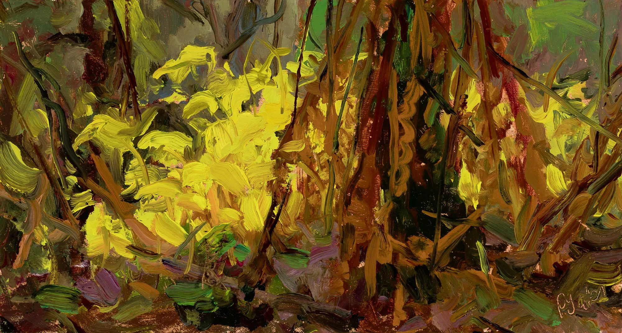 Sunshine in Takayana. Oil on wood.