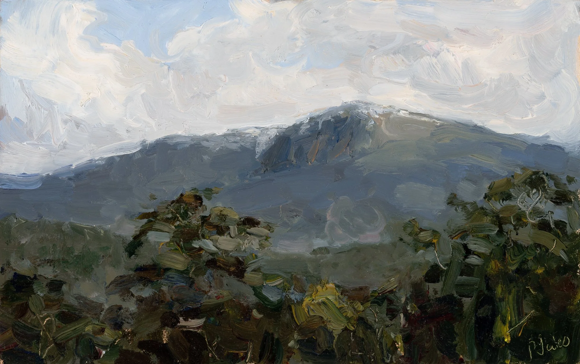 Kunanyi 9. Oil on wood.
