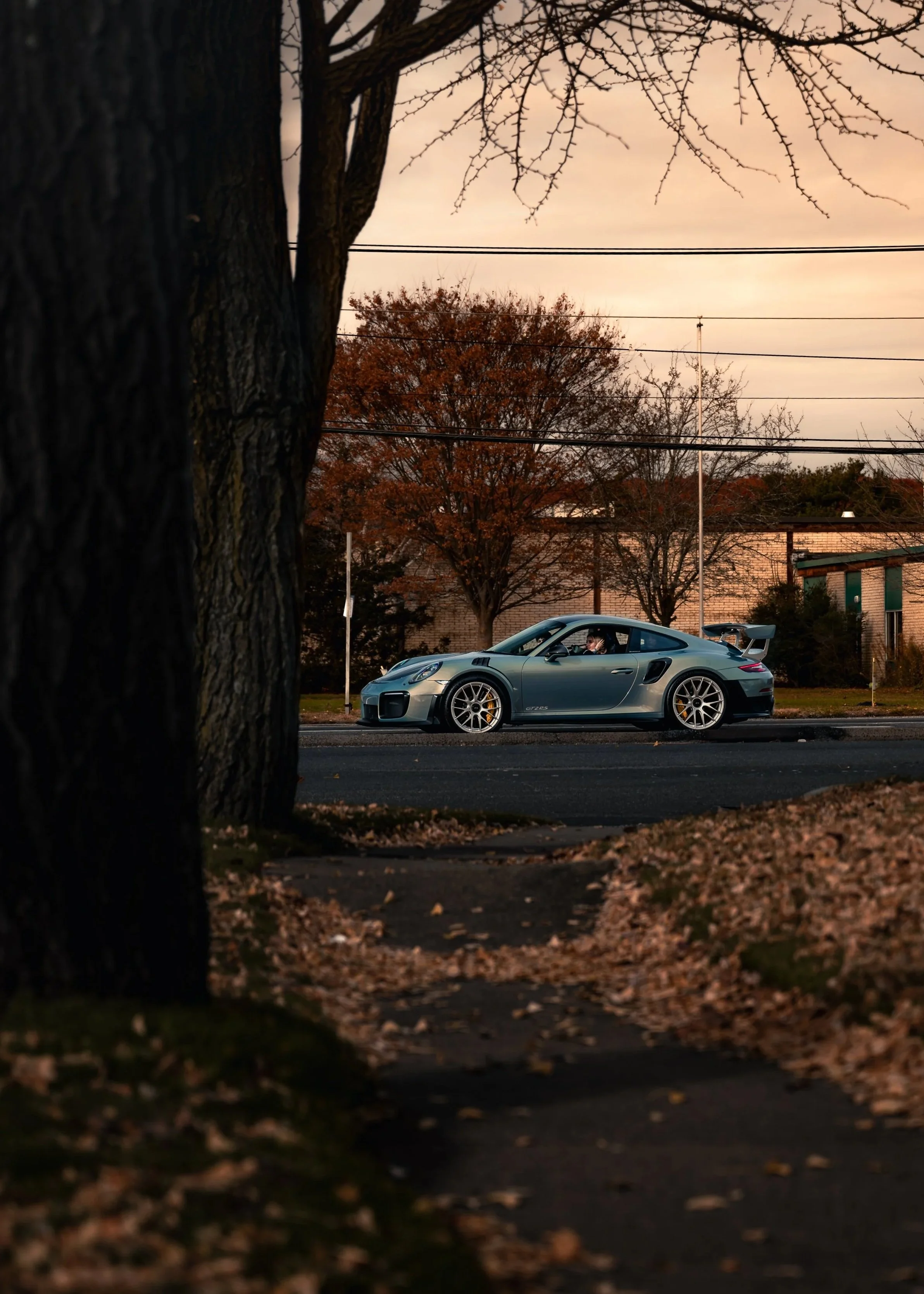 DSC_6732-Enhanced-NR-2.jpg
