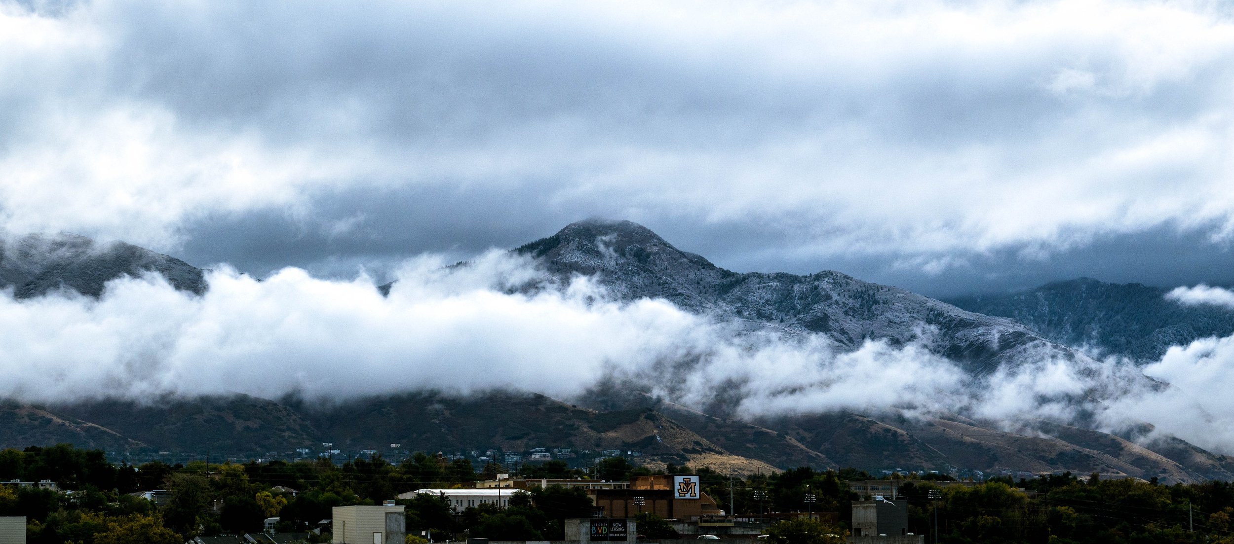 DSC_8517.jpg