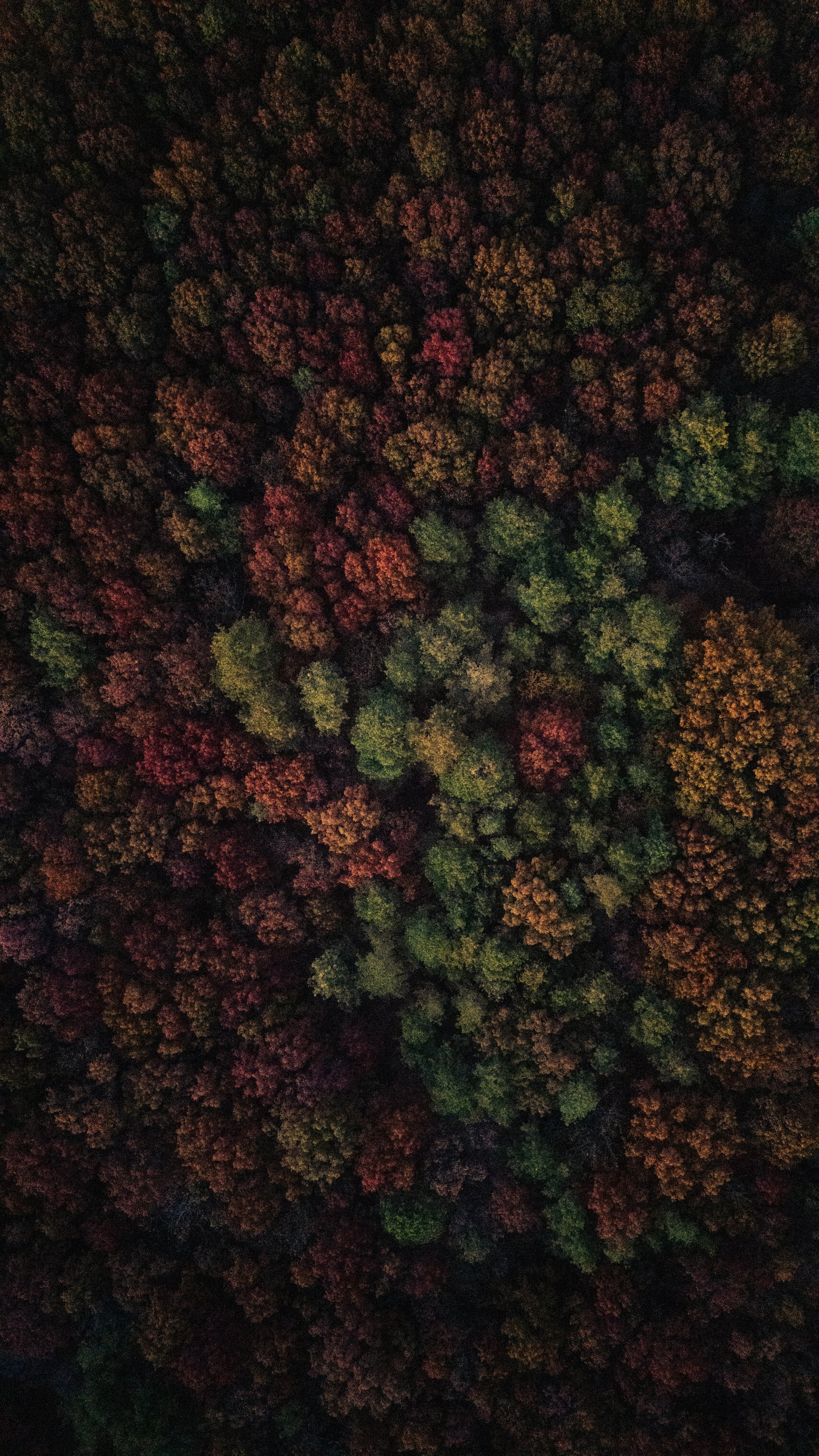 DJI_20241030181407_0200_D.jpg