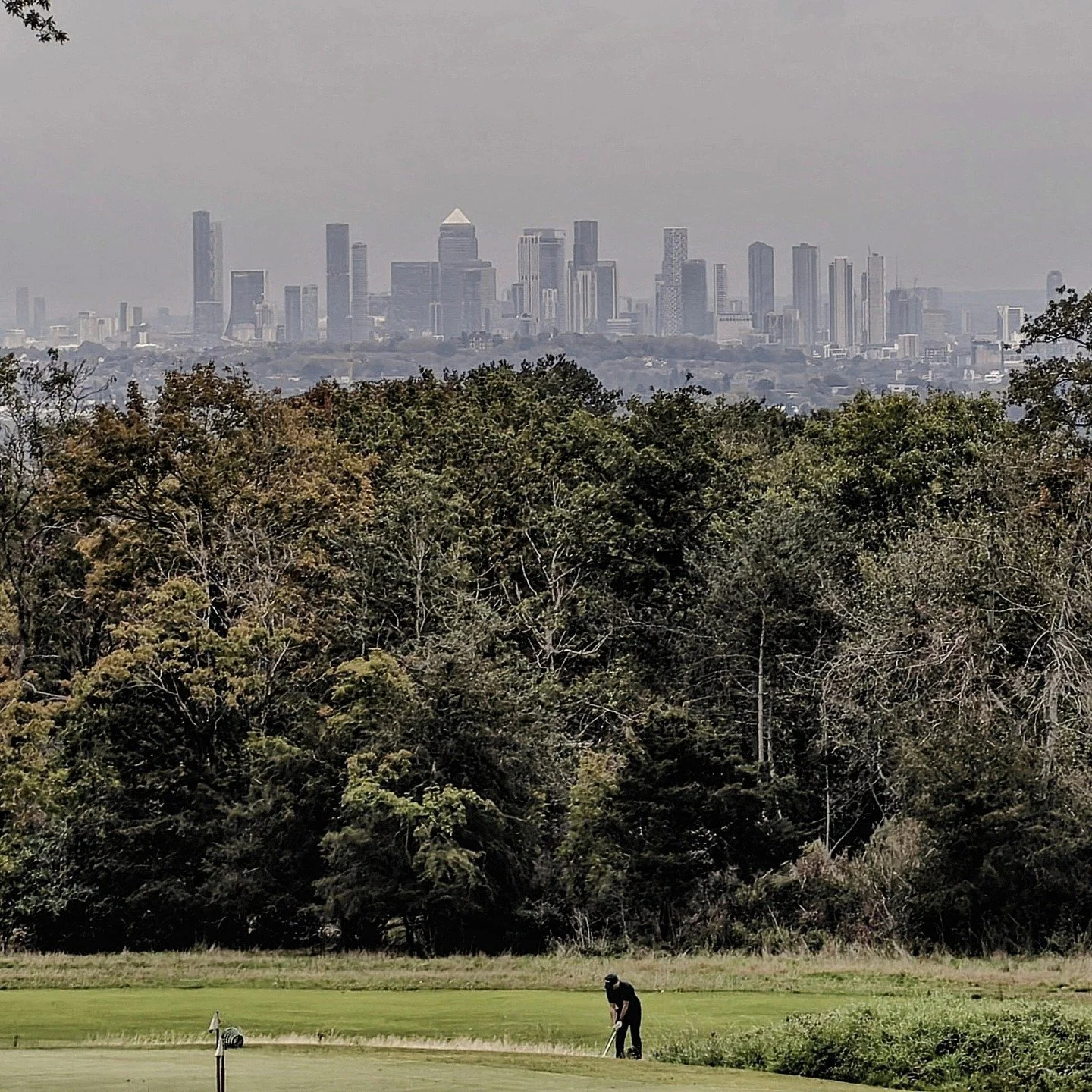 It was a little murky yesterday but the City of London was particularly visible. Recent vegetation management has restored many wonderful lost vistas - both long and short.