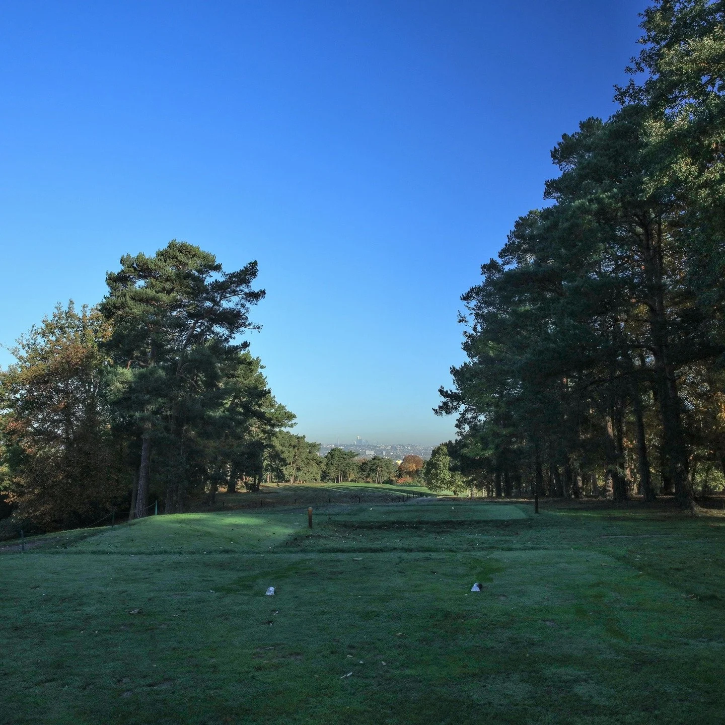 The 14th tee with the City of London on the horizon. Before and after John Nicholson and Ross Macneil's expert woodland management.

#afterisalwaysbetter

Photos: @davidcannongolfphoto