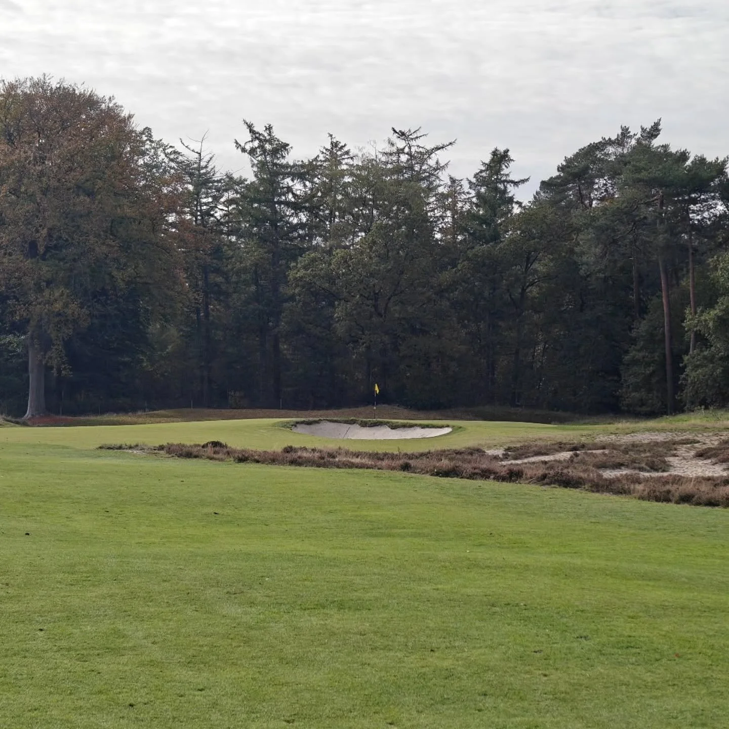 Heather regeneration on the 5th hole. Part transplant, part scrape.
📷: CDP