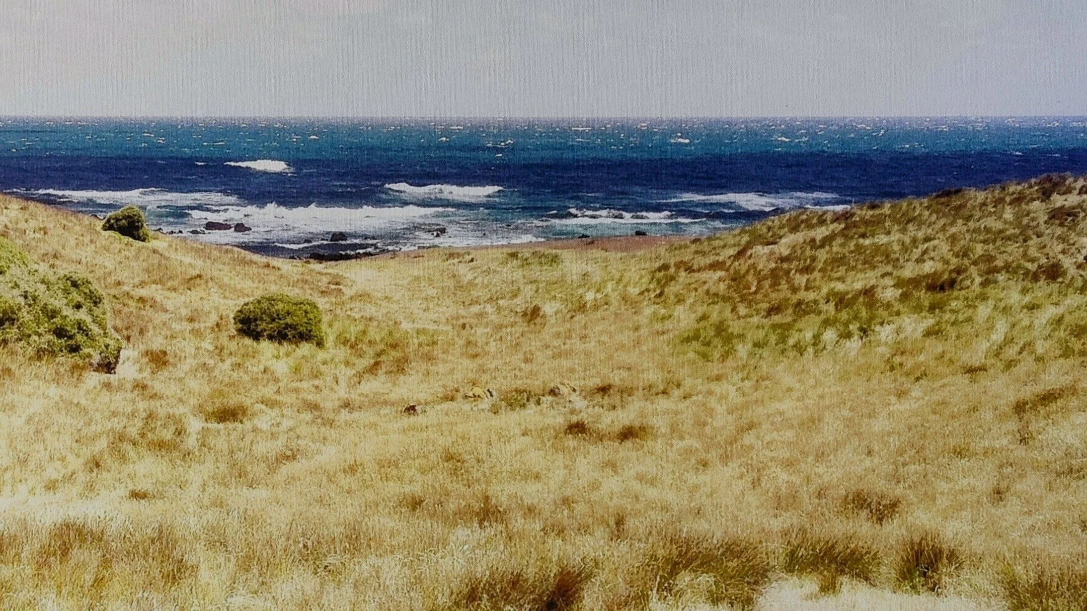 Happy 10th birthday Cape Wickham Links, the pride of Australia's King Island.

The 10th hole in 2014 and 2023.

#afterisalwaysbetter