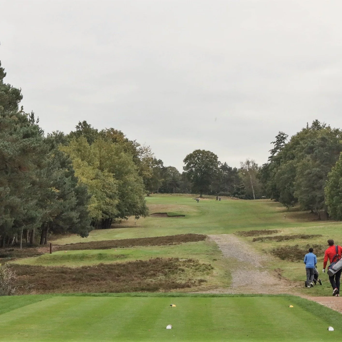 15th Hole before and after restoration

Photos: @davidcannongolfphoto &amp; @lukasmichel 

#afterisalwaysbetter