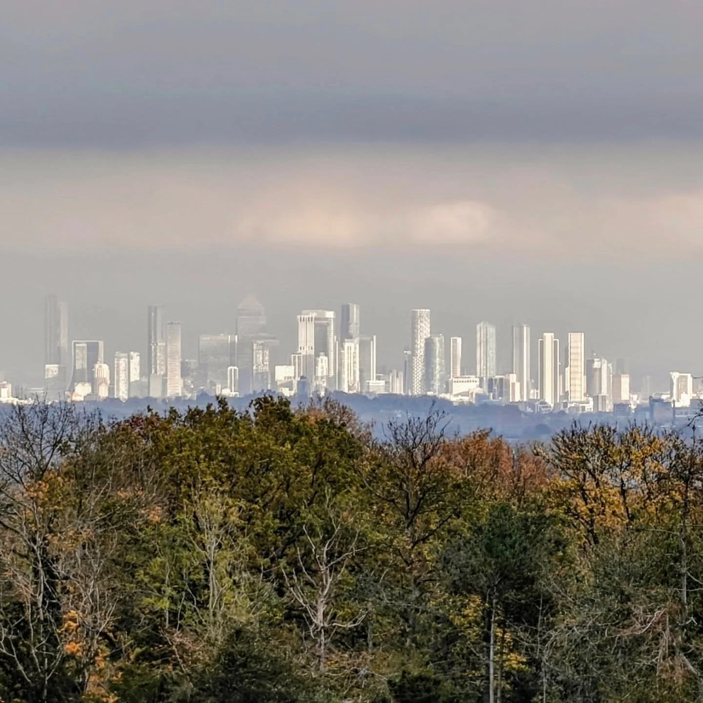 I have to admit to being slightly obsessed with the newly restored views of London that have appeared post woodland management. No two days are the same. 

It was a bleak morning at The Add but a shaft of light lit up Canary Wharf as we got to the 1s