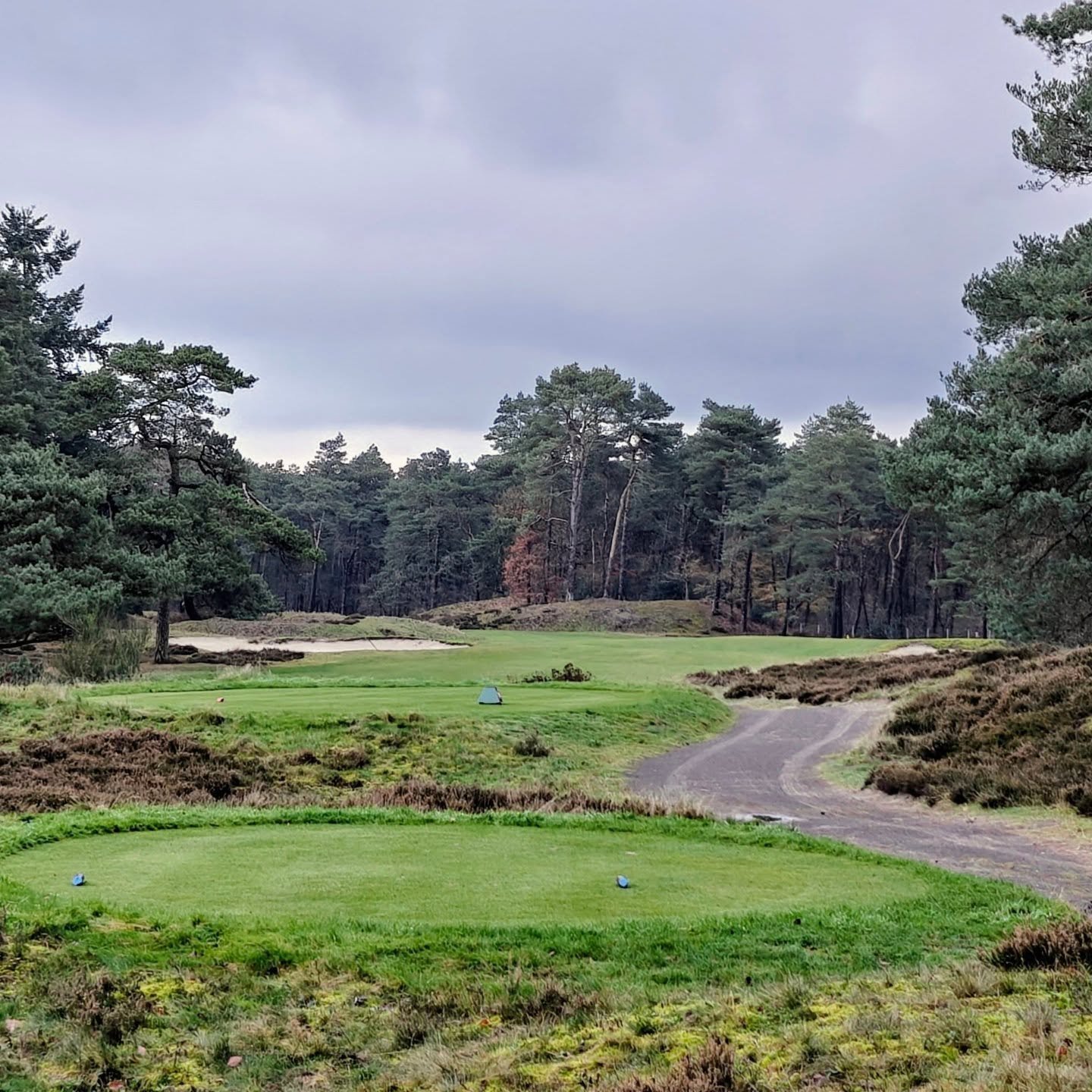 A late afternoon course walk and dinner with Chair of Green Roderick Ritchie, @ryannoades and others.

In 1932 - in between the building of the first and second nines - Colt wrote &quot;I feel sure that we ought to have one of the best 18 hole course