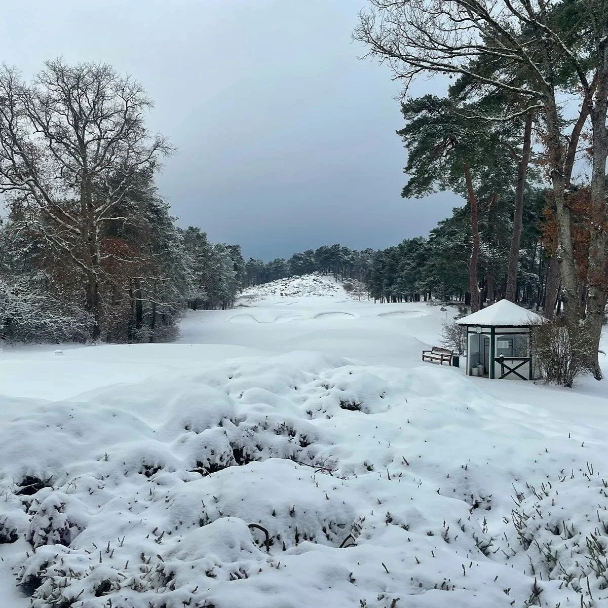 Definitely firm. Definitely not fast.

Praying for a thaw so that we can start work on time next week.