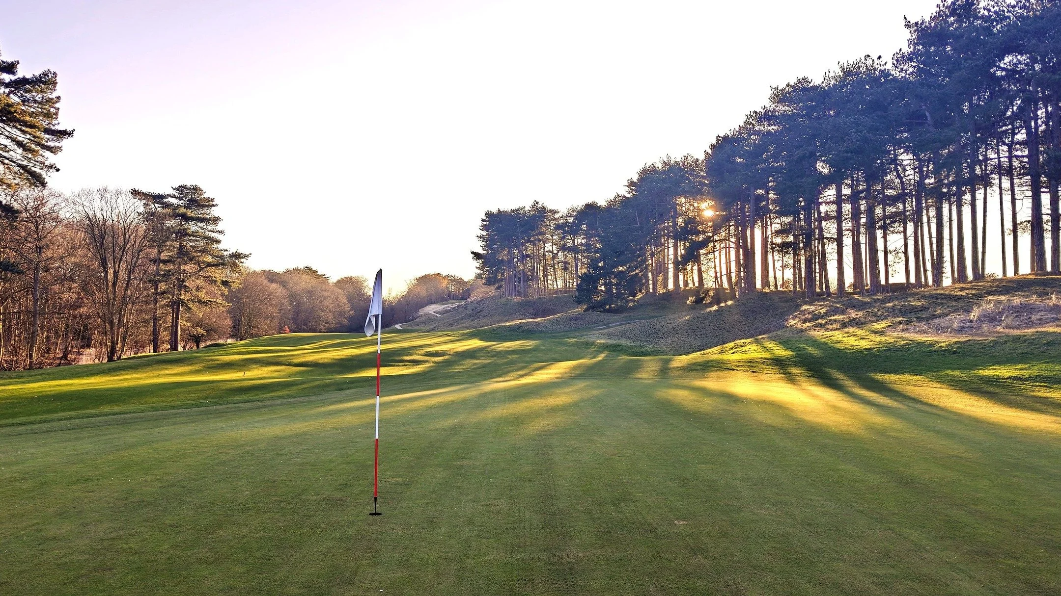 Some snaps from our visit earlier this week.

Many thanks to Marko Sterkenburg and the team for their kind hospitality. 

Colt &amp; Alison were asked to create the Pine Valley of Europe. They succeeded.