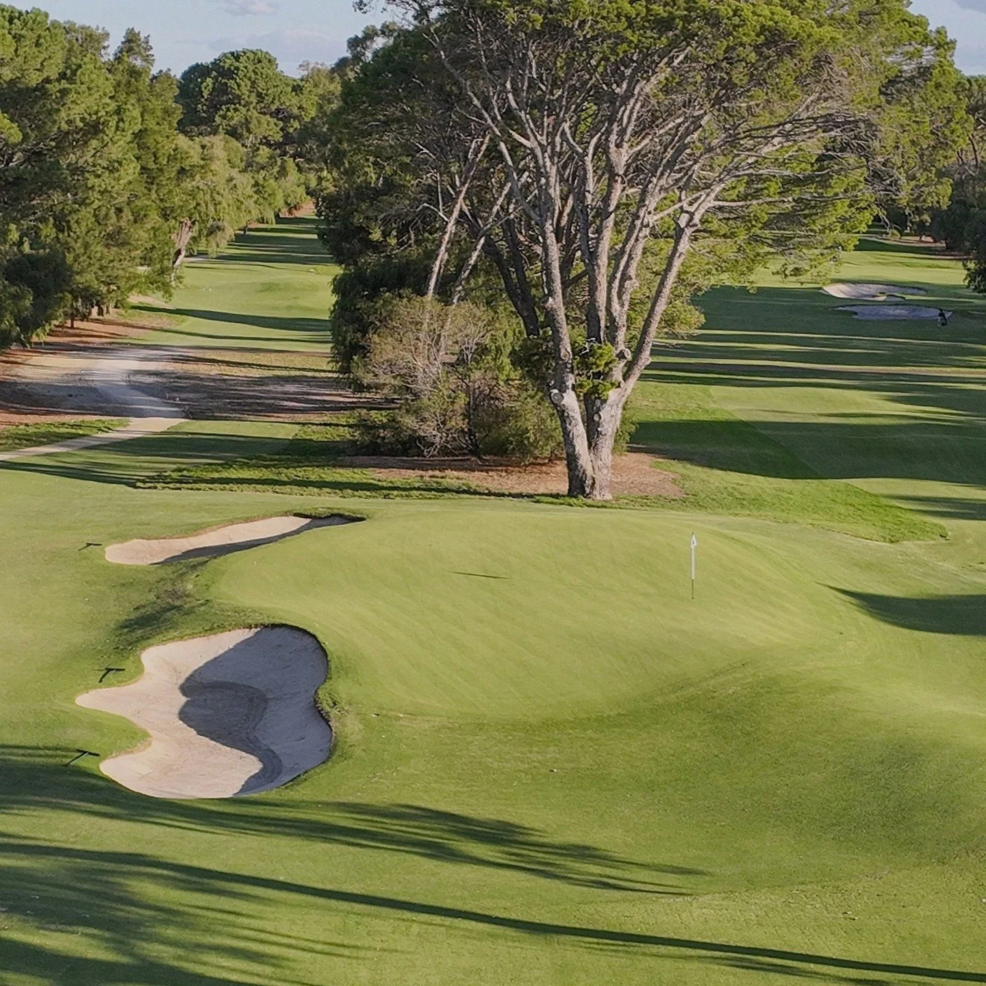 A few more of @lukasmichel's shots taken last week.