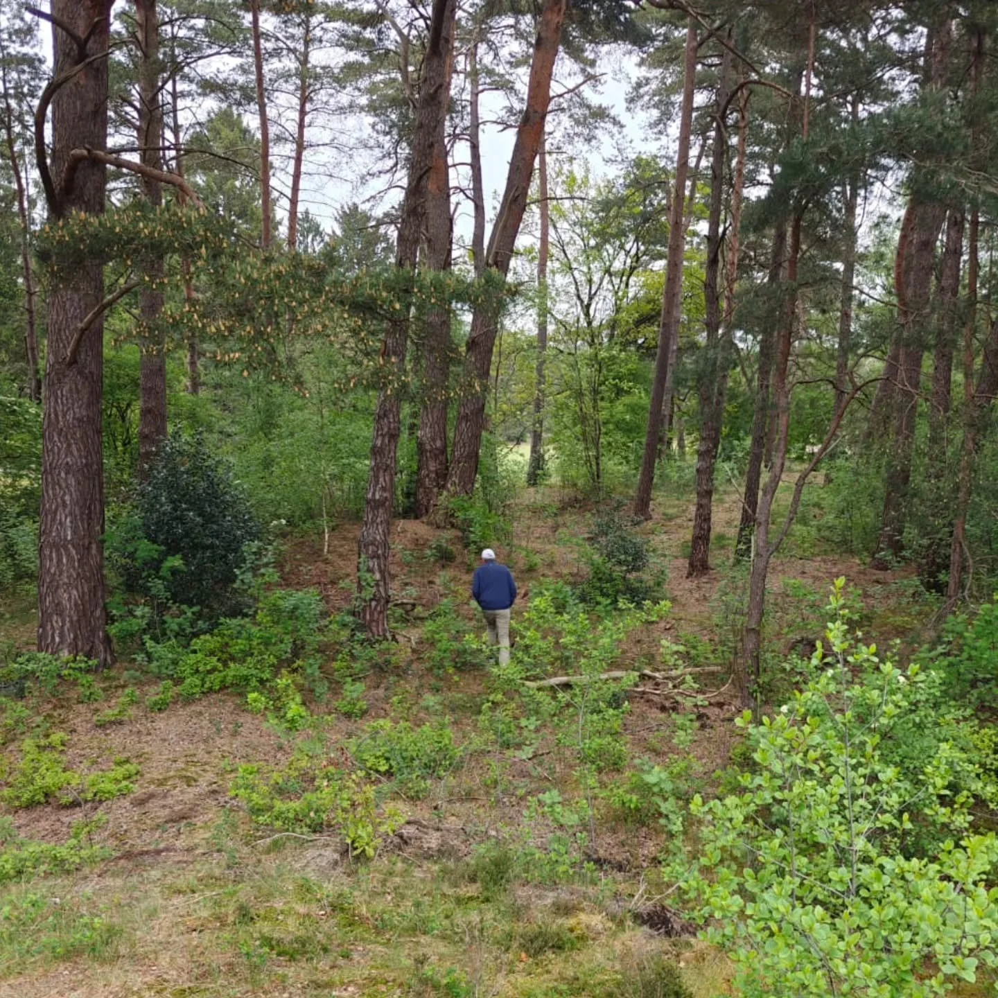 @mike_clayton_golf spent yesterday walking and playing De Pan, photographed here in search of a site for an 18th tee.

"I have always thought Morfontaine the best course on the continent but De Pan is incredibly good and well worth its World Top