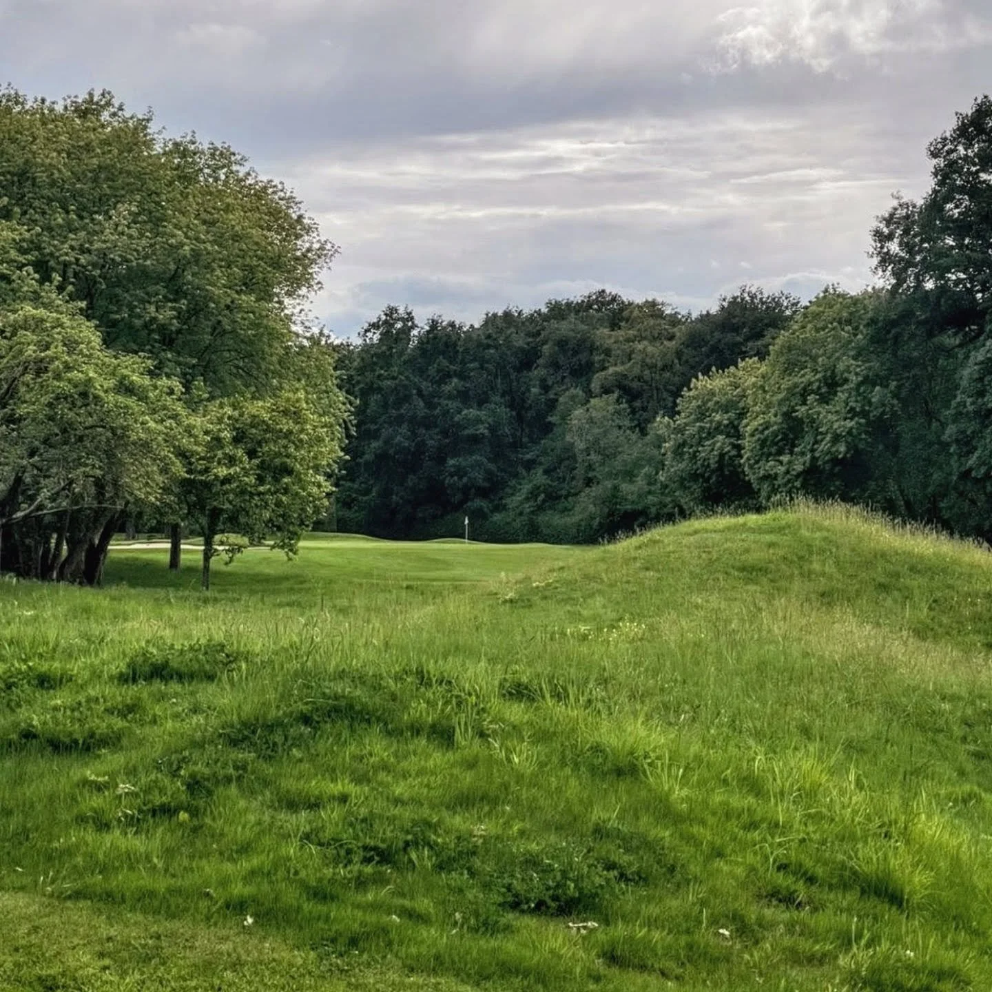 Holes That Aren't Holes

3rd tee to 2nd green
160yds

📷: @mike_clayton_golf 

#holesthatarentholes
