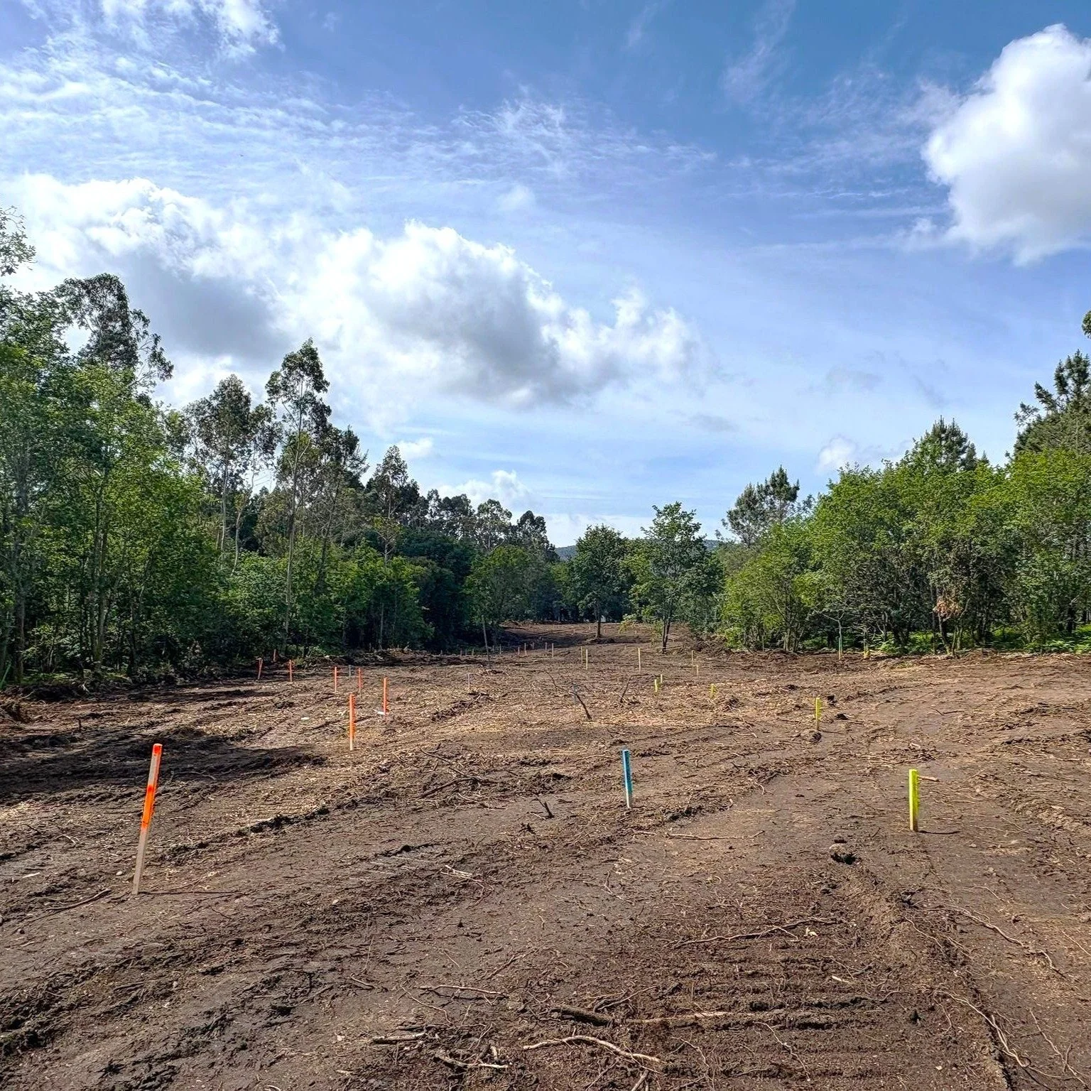 Work has commenced at our first new build in Europe at Club de Golf Val de Rois in Galicia where Gonzalo and the team are staking out the routing.

First photo is of the 18th, the other two of the 10th fairway and green site.

#despuessiempreesmejor
