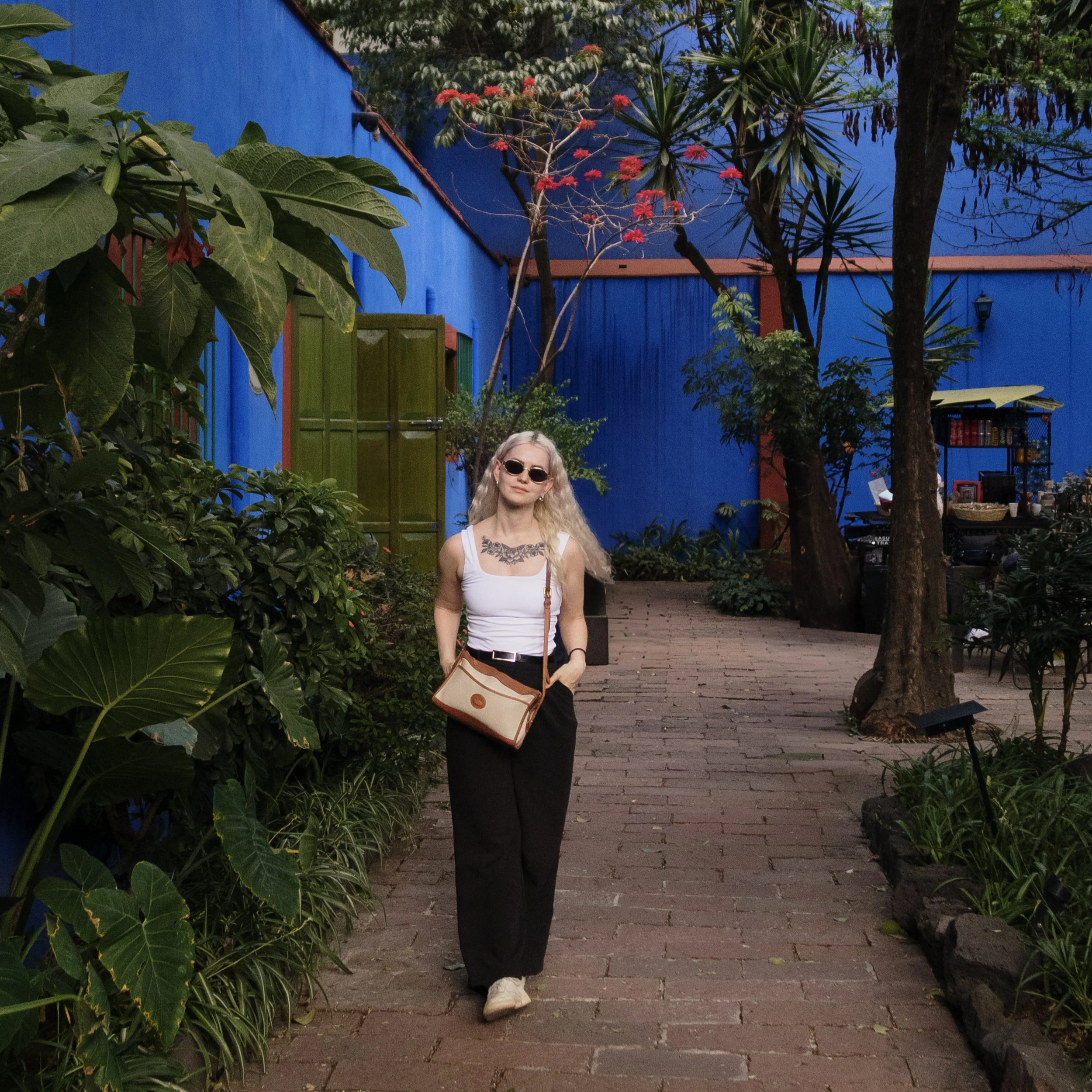 Travel Guide: A Week in CDMX