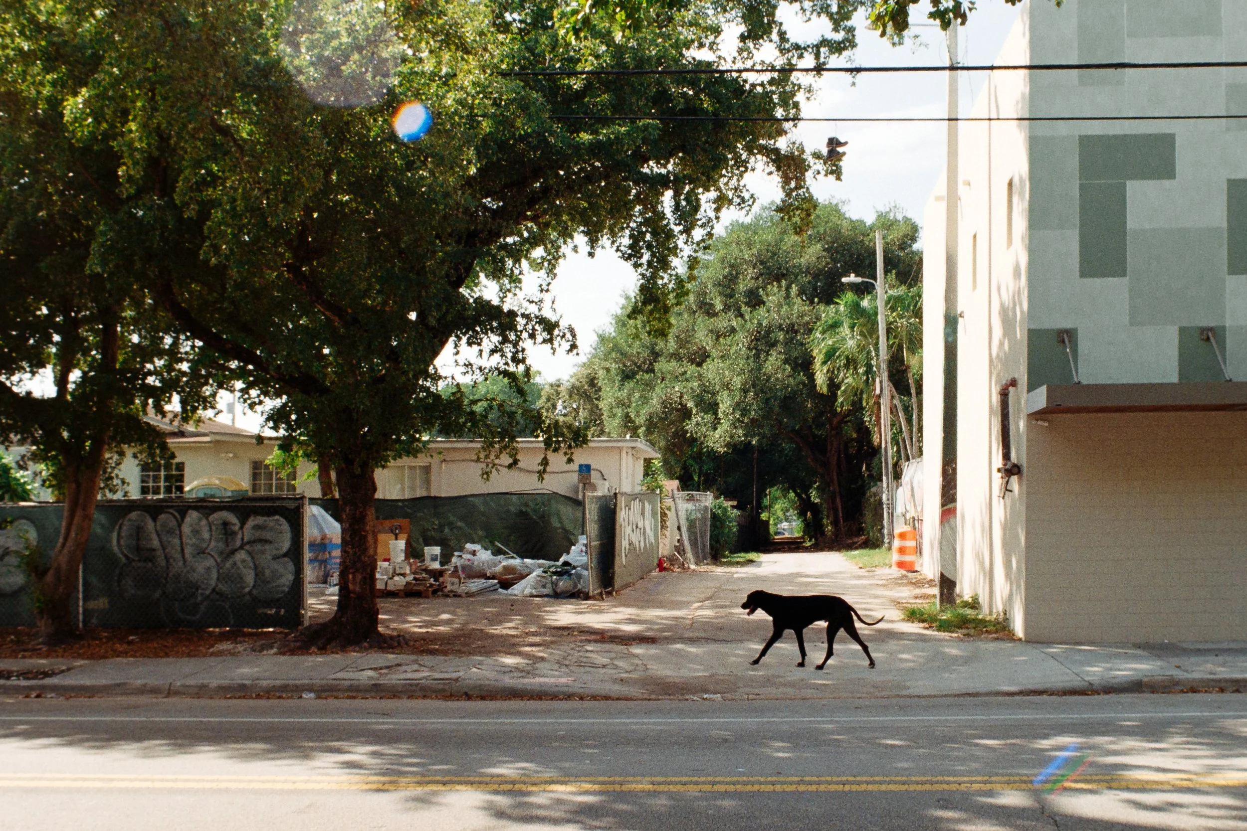 Miami, FL 2025 ~ Pro Image 100