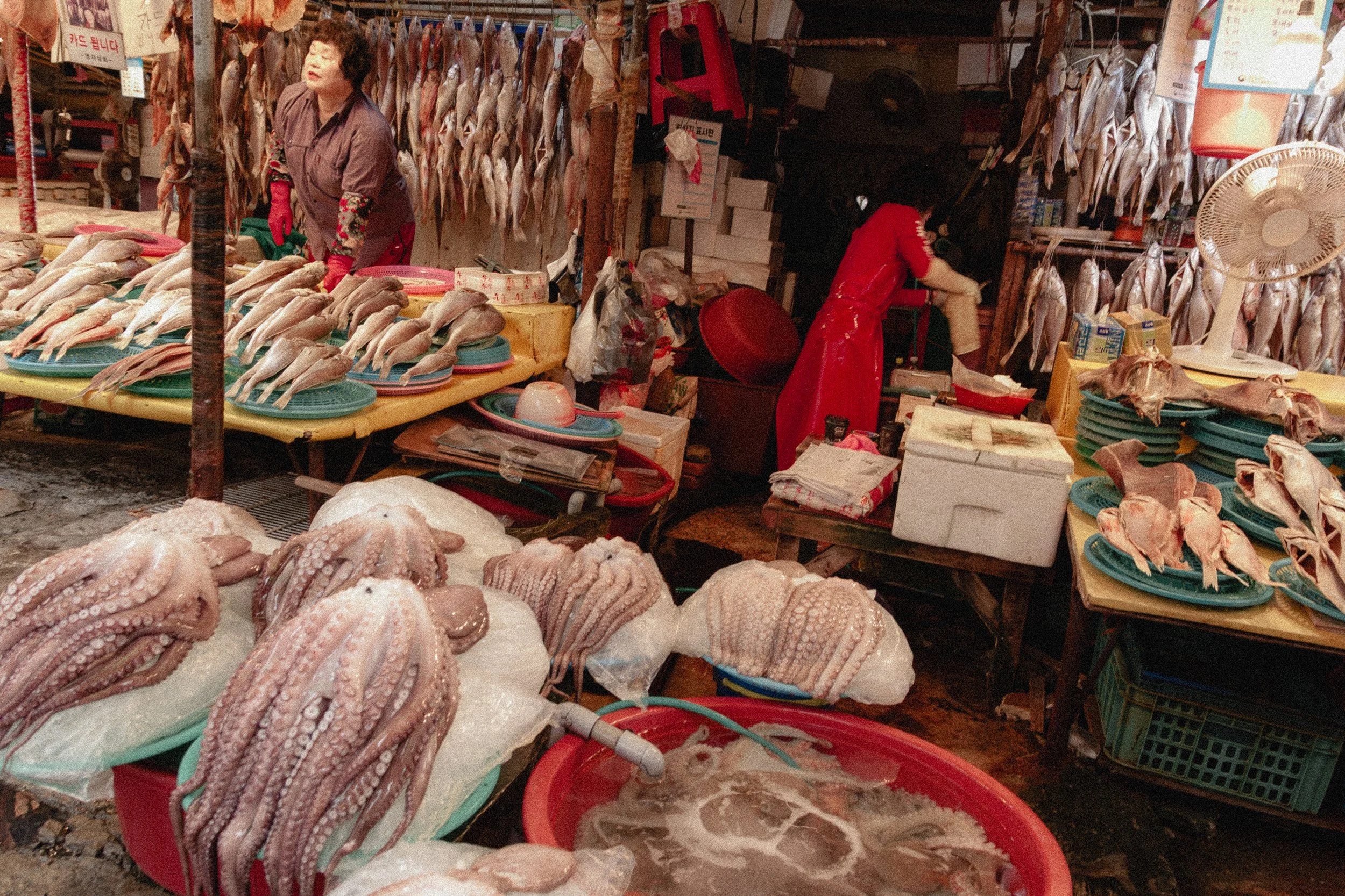 A fish market stall with dried fish hanging on display and fresh octopus on ice in the foreground.