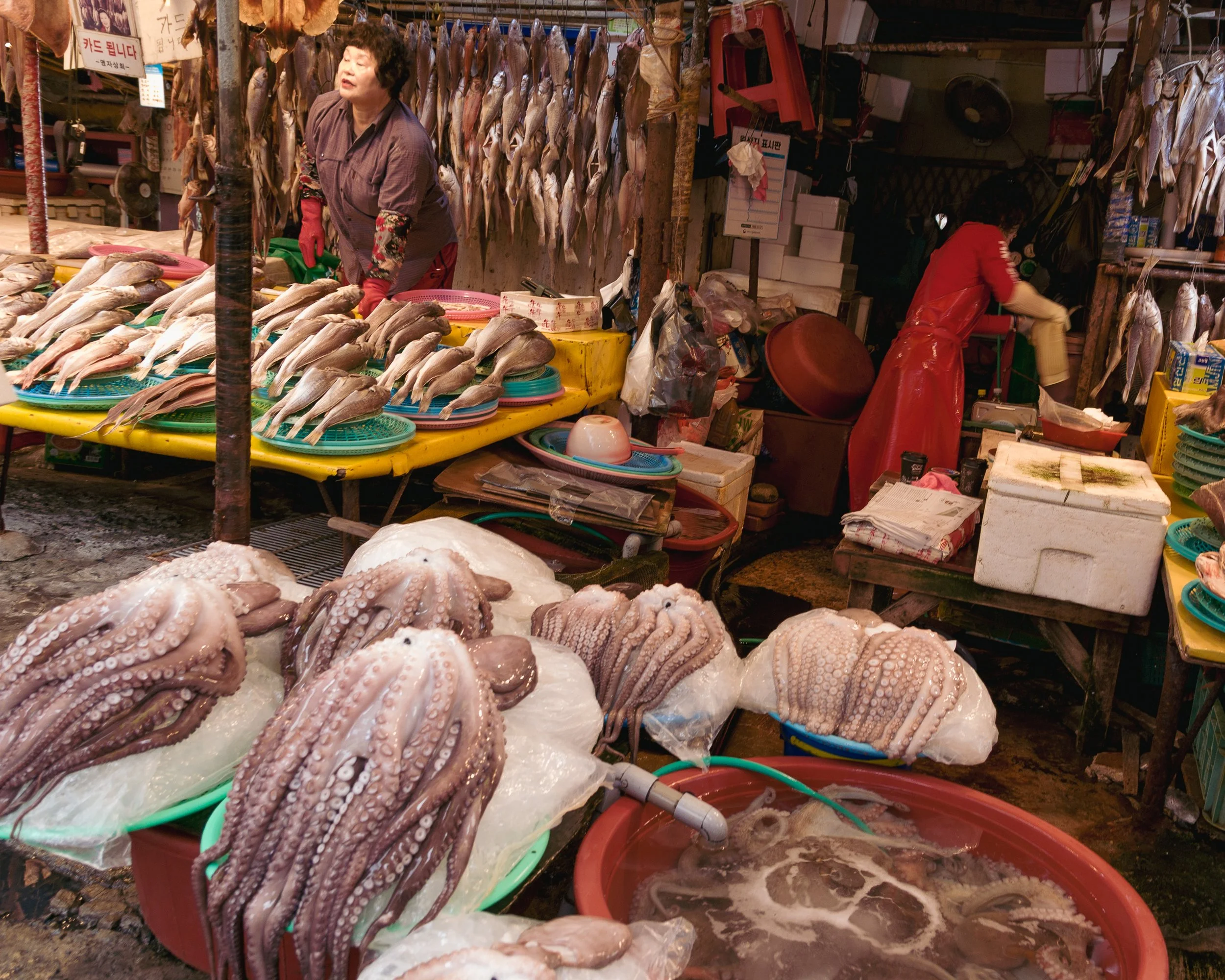 A seafood market stall displaying fresh octopus and fish, with two vendors preparing seafood amidst hanging fish and baskets.