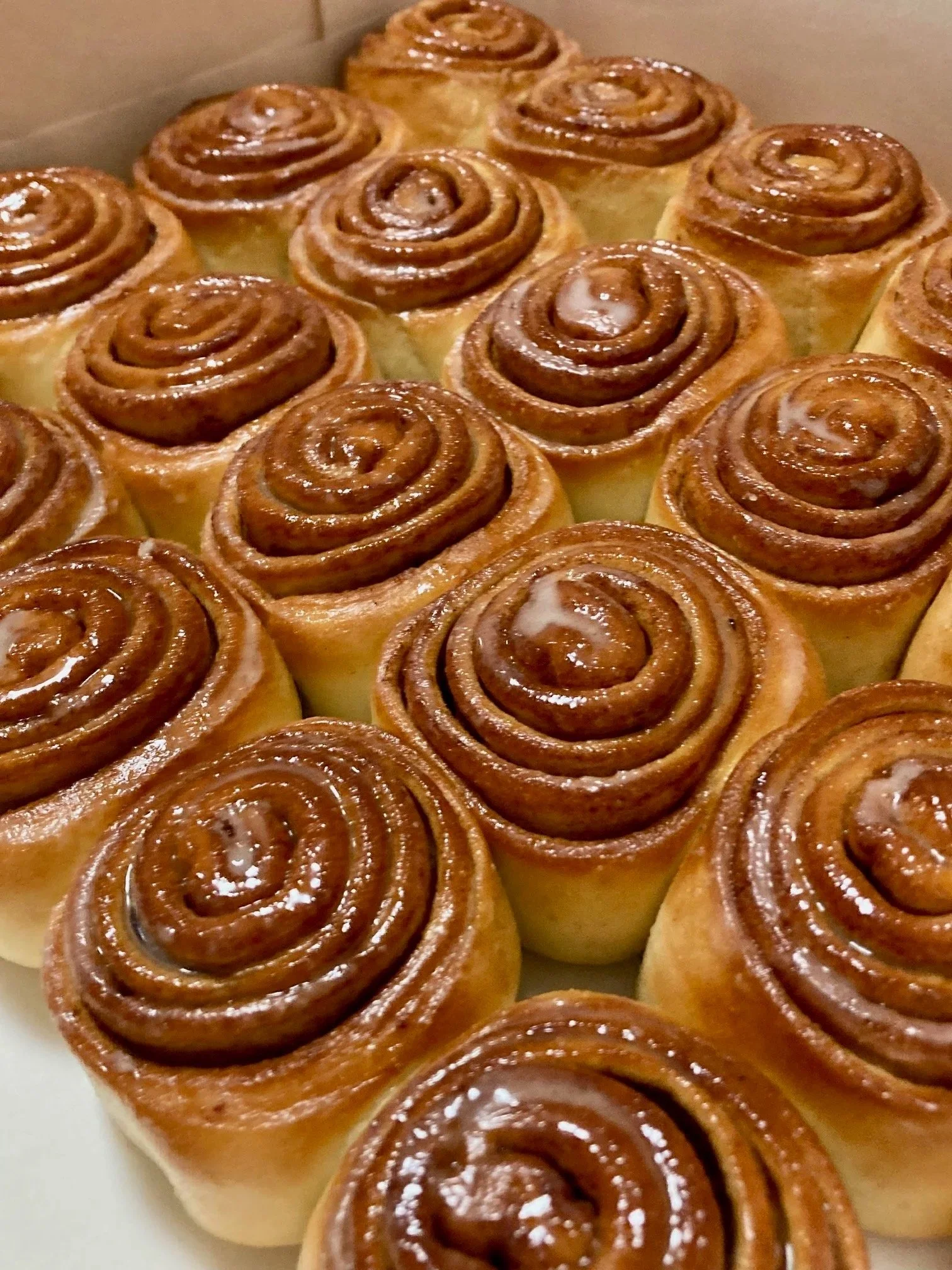 Box of 20 Small Cinnamon Scrolls (naked glazed)