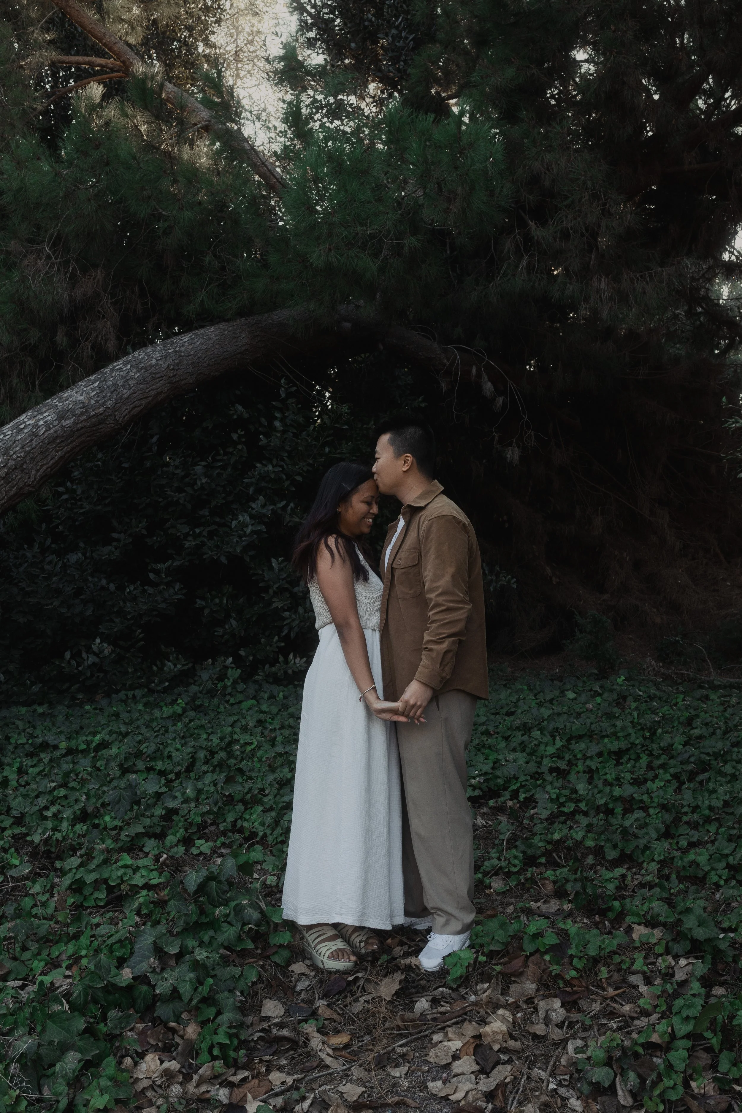 A couple standing close together outdoors, holding hands, in front of a large tree with intertwined branches. The woman is wearing a white sleeveless dress and the man is in a brown jacket and beige pants. They are smiling and in an intimate moment w