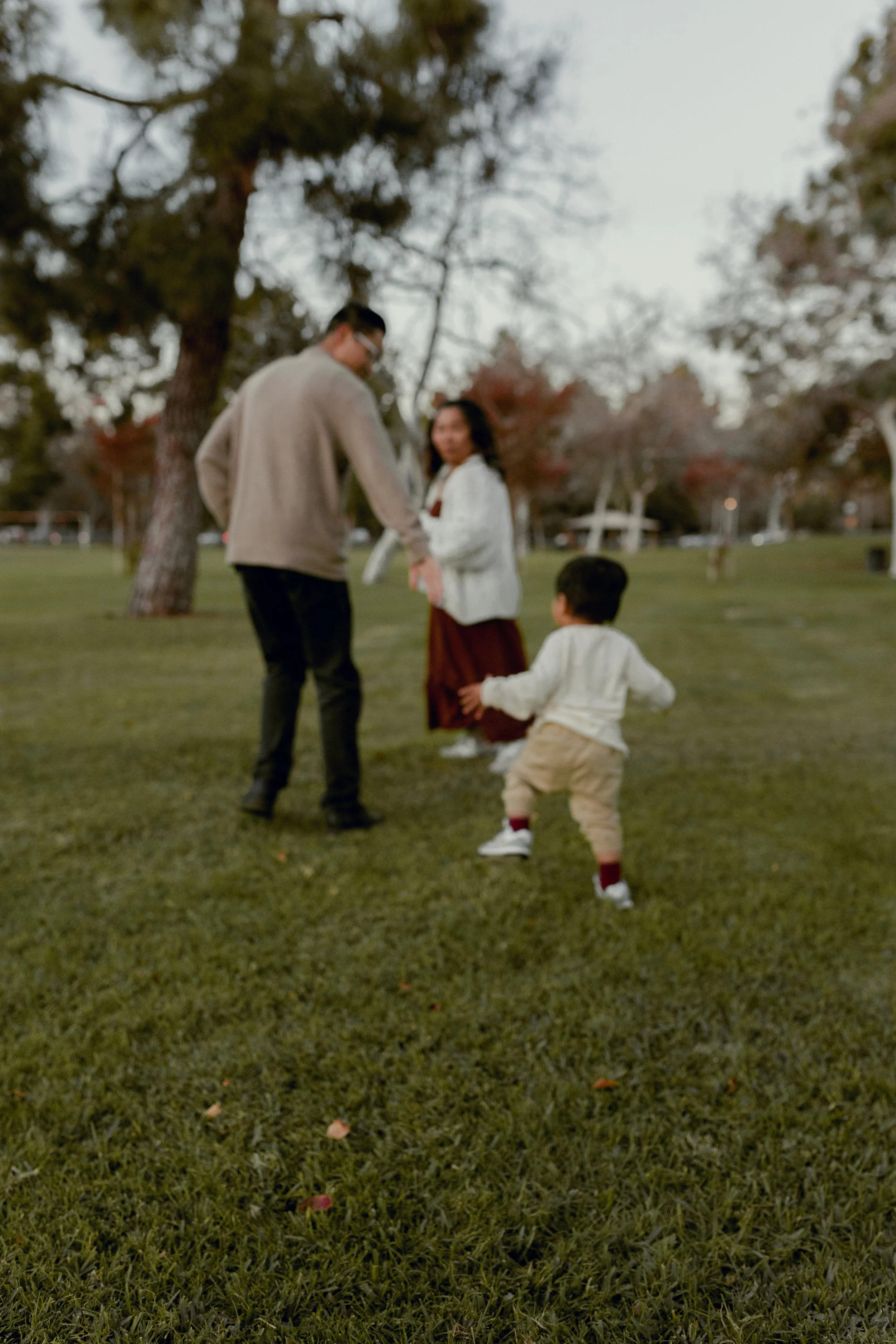 A family playing in a park with trees and grass on a cloudy day.